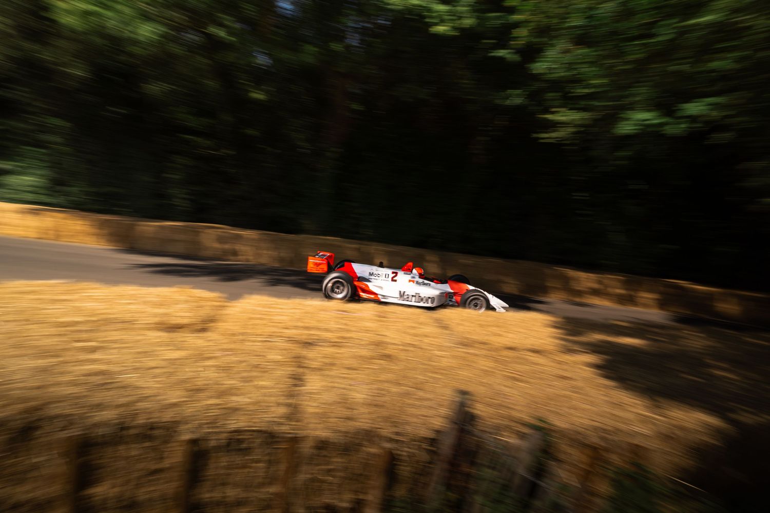 A white and red Formula racing car speeds past lush green trees on a sunlit track.