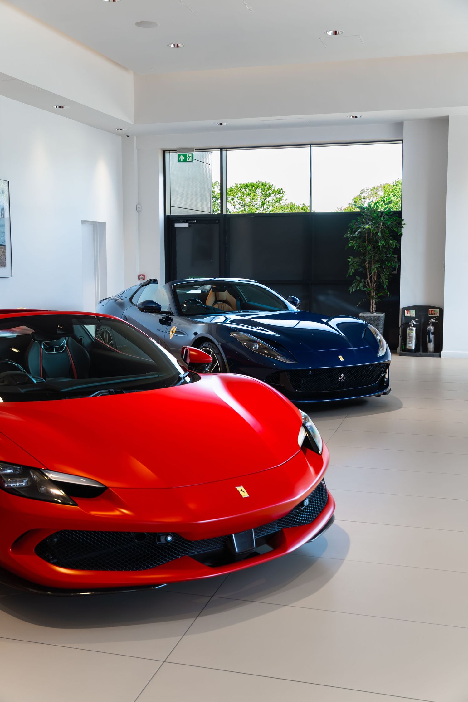 Red and blue Ferrari sports cars displayed in a modern luxury car dealership showroom with white floors.
