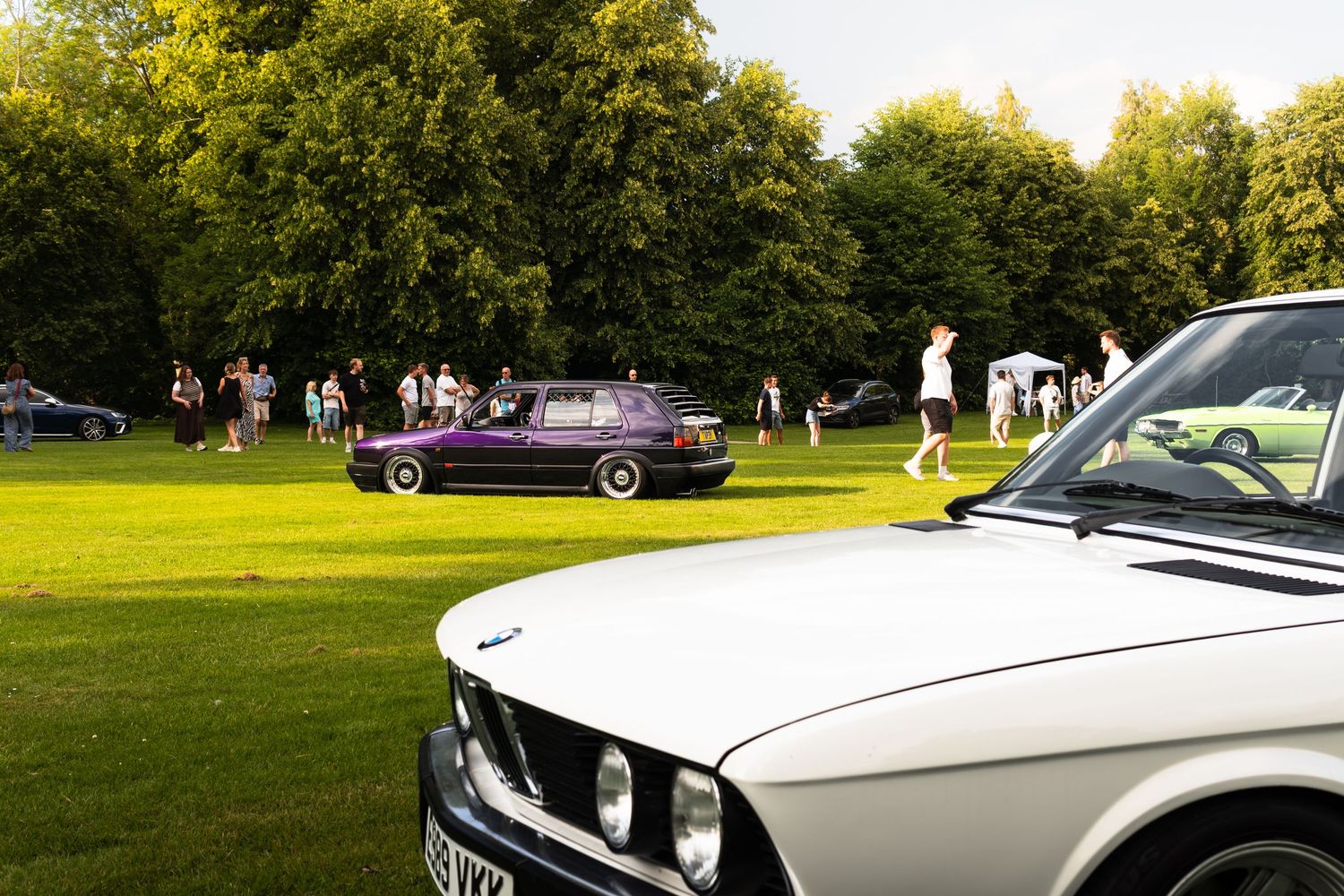 Vintage BMW cars displayed on green grass at an outdoor classic car show, with trees and spectators in the background.