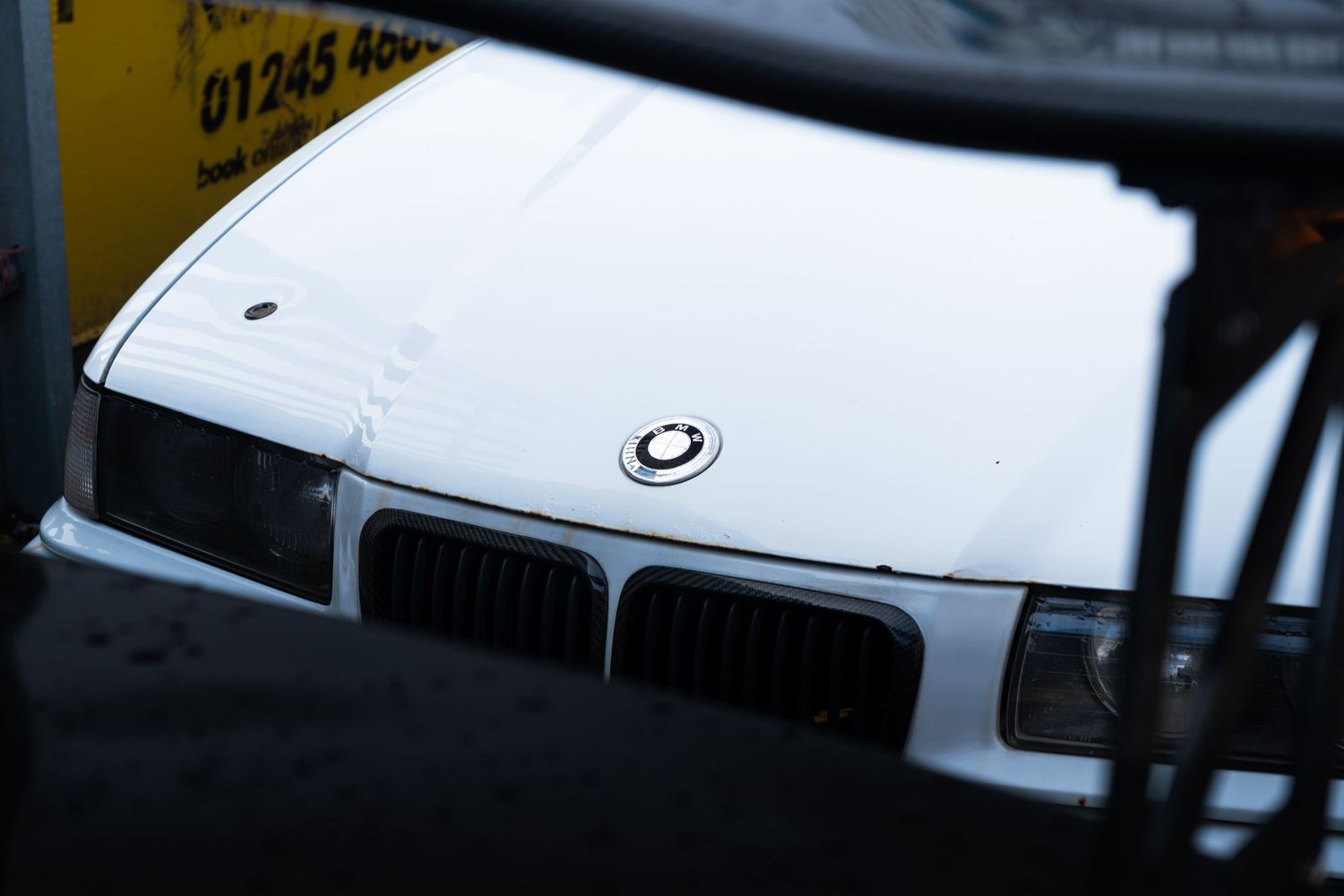 Close-up of a white BMW E36 front grille and hood with the iconic roundel logo visible.