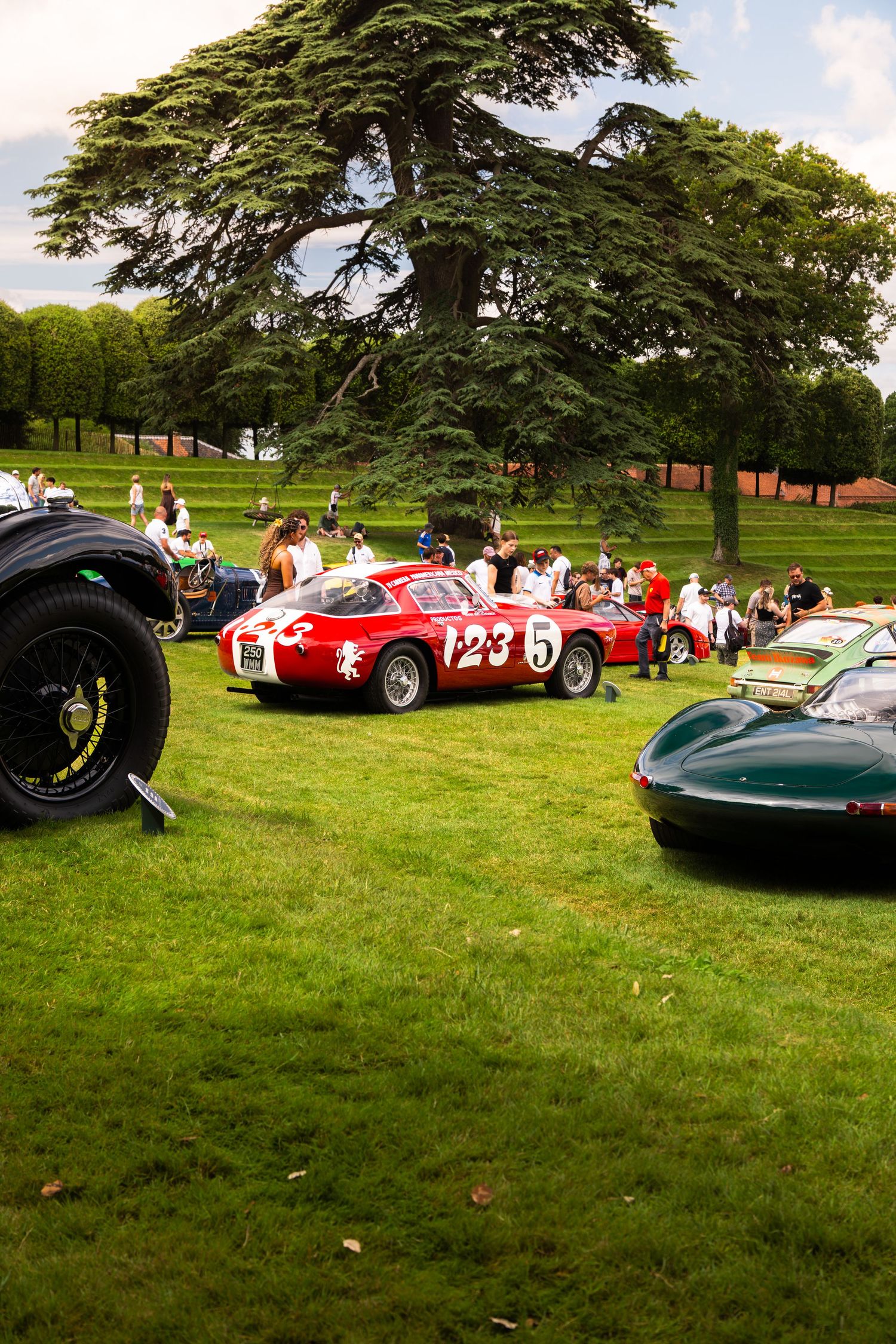 Vintage classic cars on display at an outdoor concours d'elegance event on lush green grounds with large trees.