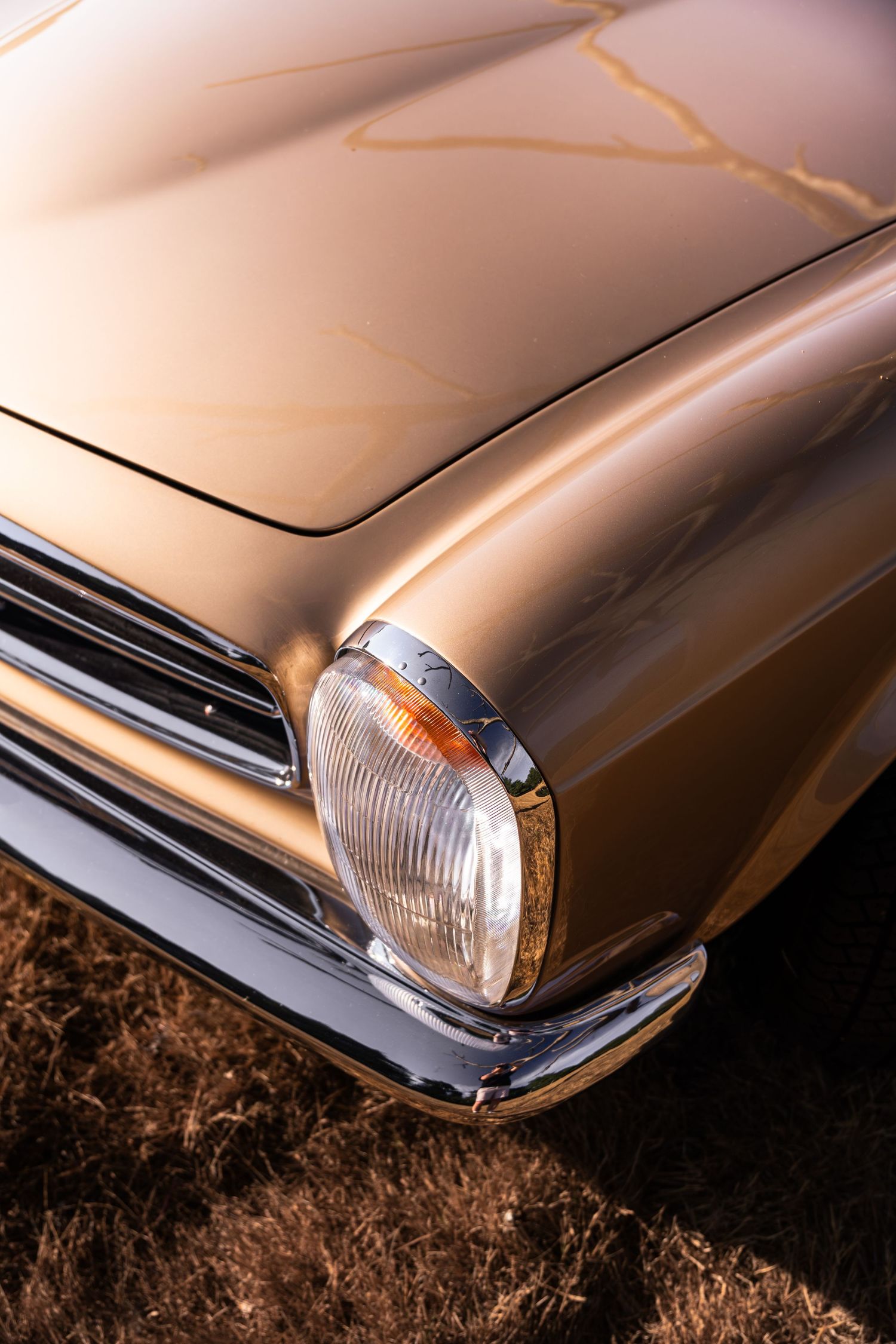 Close-up of a classic vintage car headlight and chrome trim on a shiny golden-bronze hood at a car show.