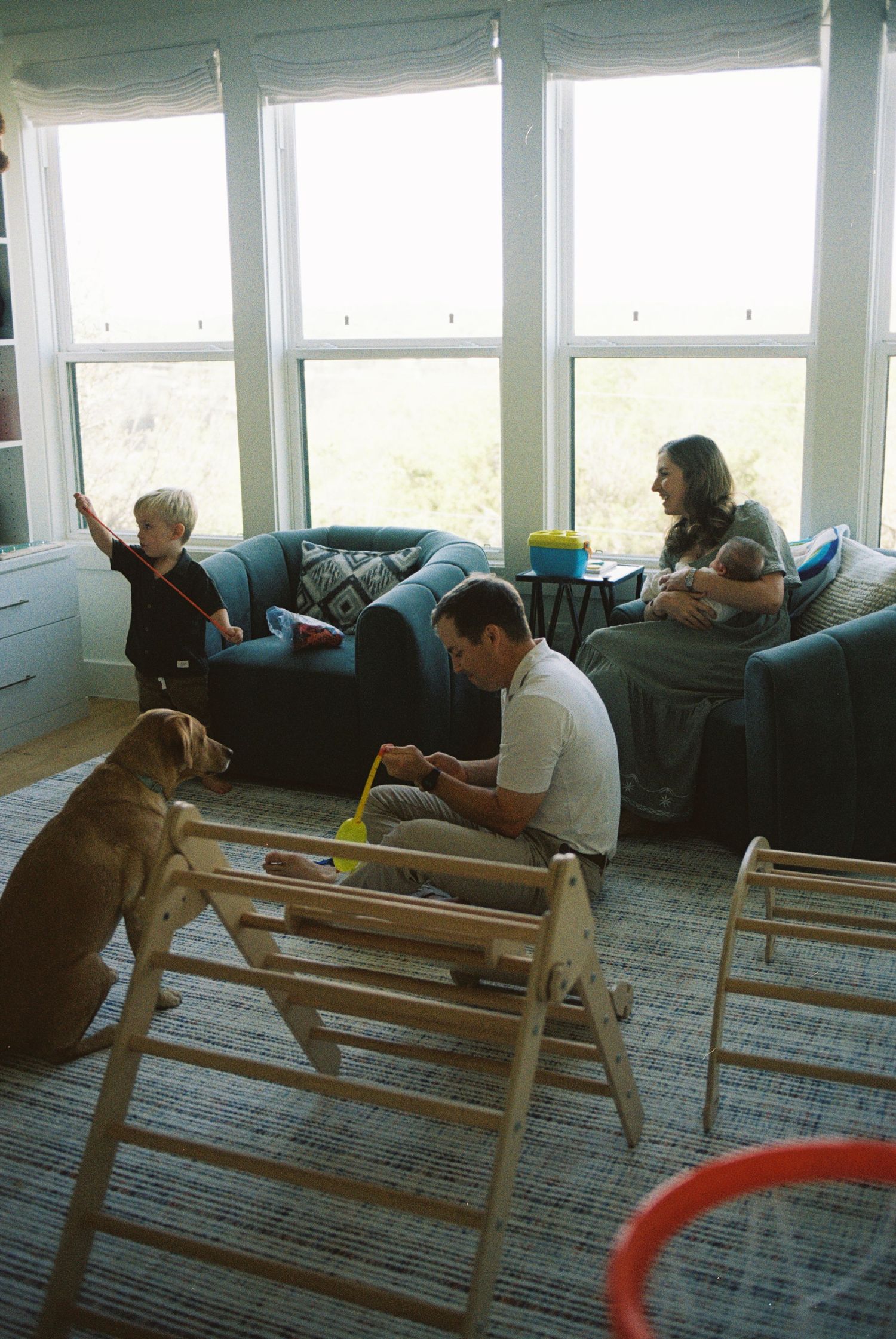 A sequence of photos showing a dog and person practicing agility training with parallel bars in an indoor space.