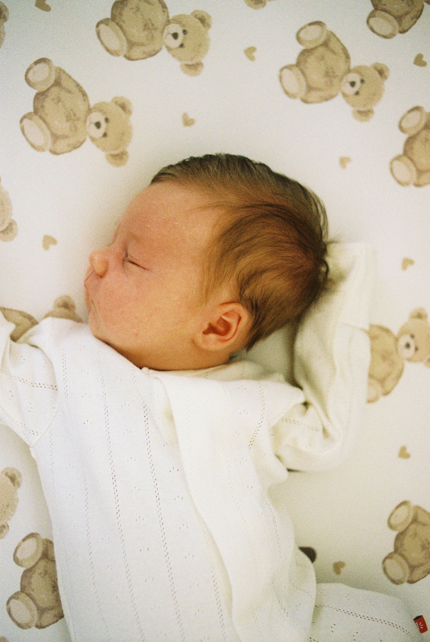Sleeping newborn baby wrapped in white blanket on teddy bear print bedding.