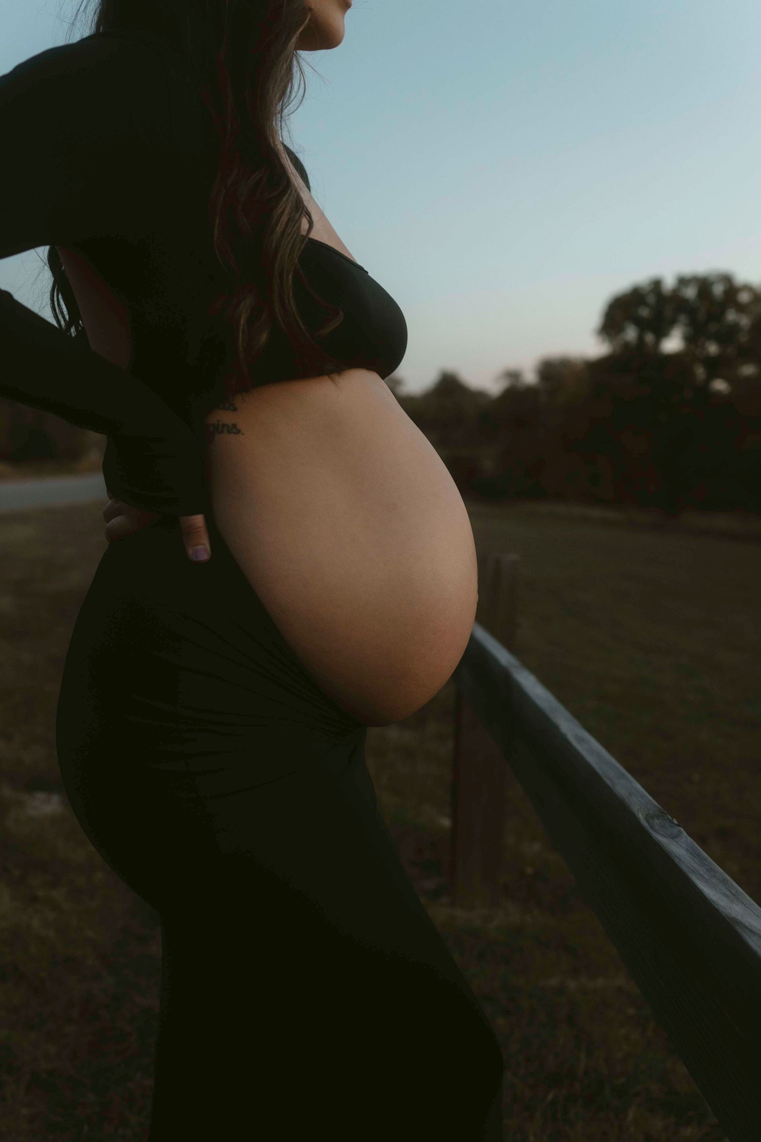 A silhouetted figure in a black dress stands in profile against a dusky sky, highlighting their pregnant form.