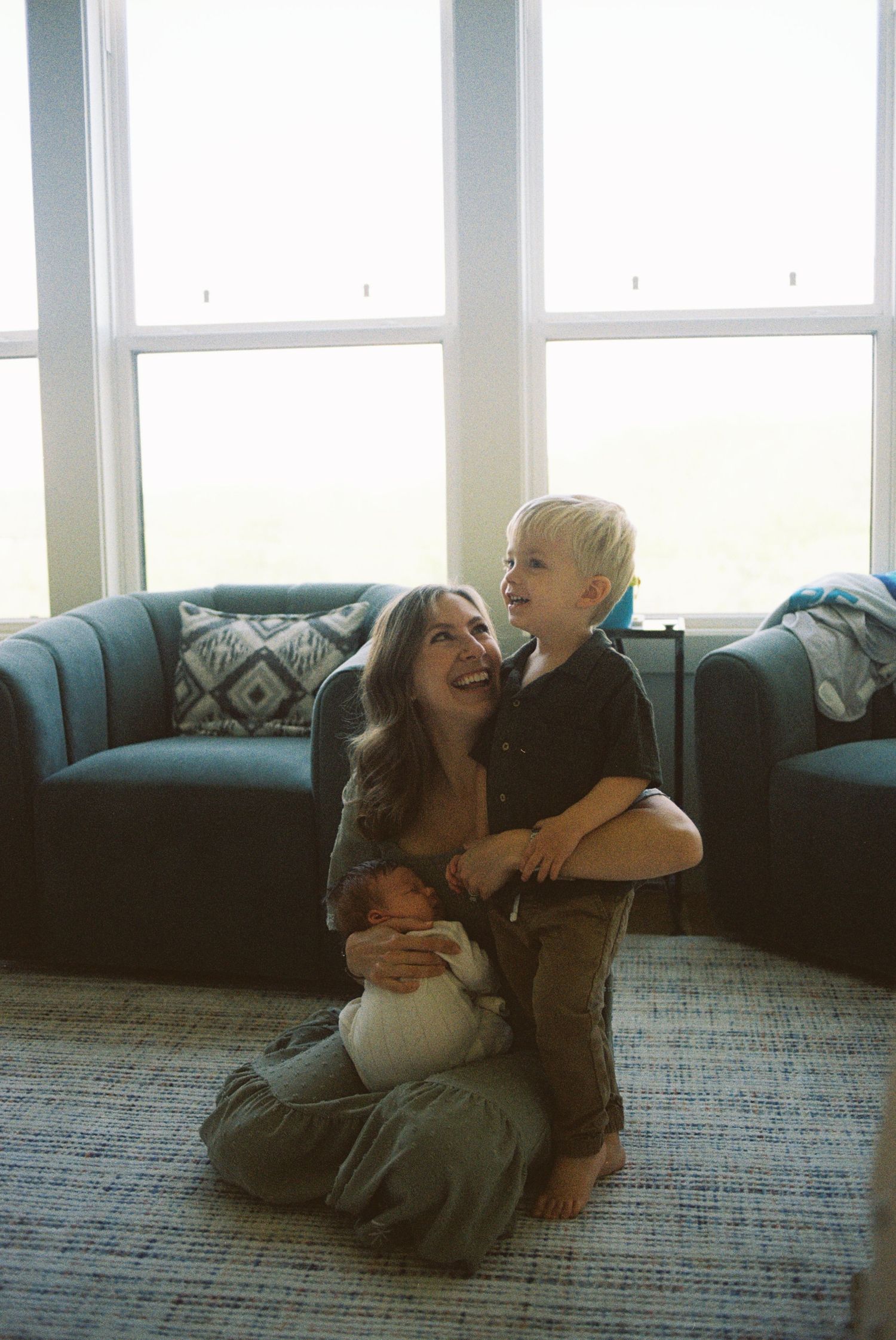 A sequence of four images showing a playful interaction between a person and a brown dog on a carpeted floor.