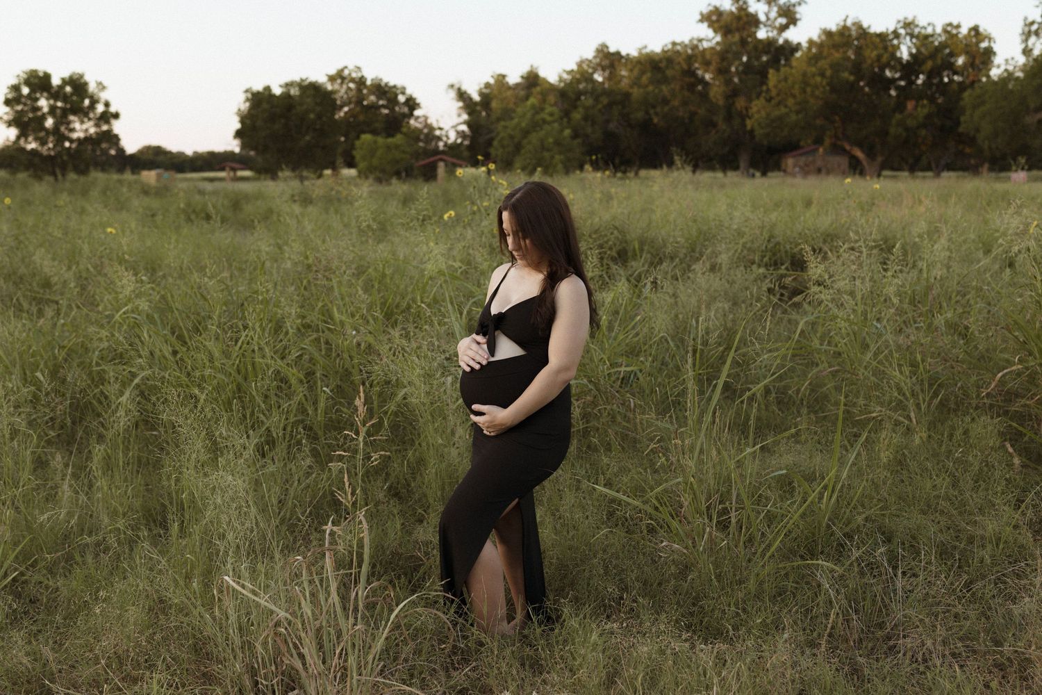 A maternity photoshoot in a serene grass field during golden hour showcasing multiple artistic angles and poses.