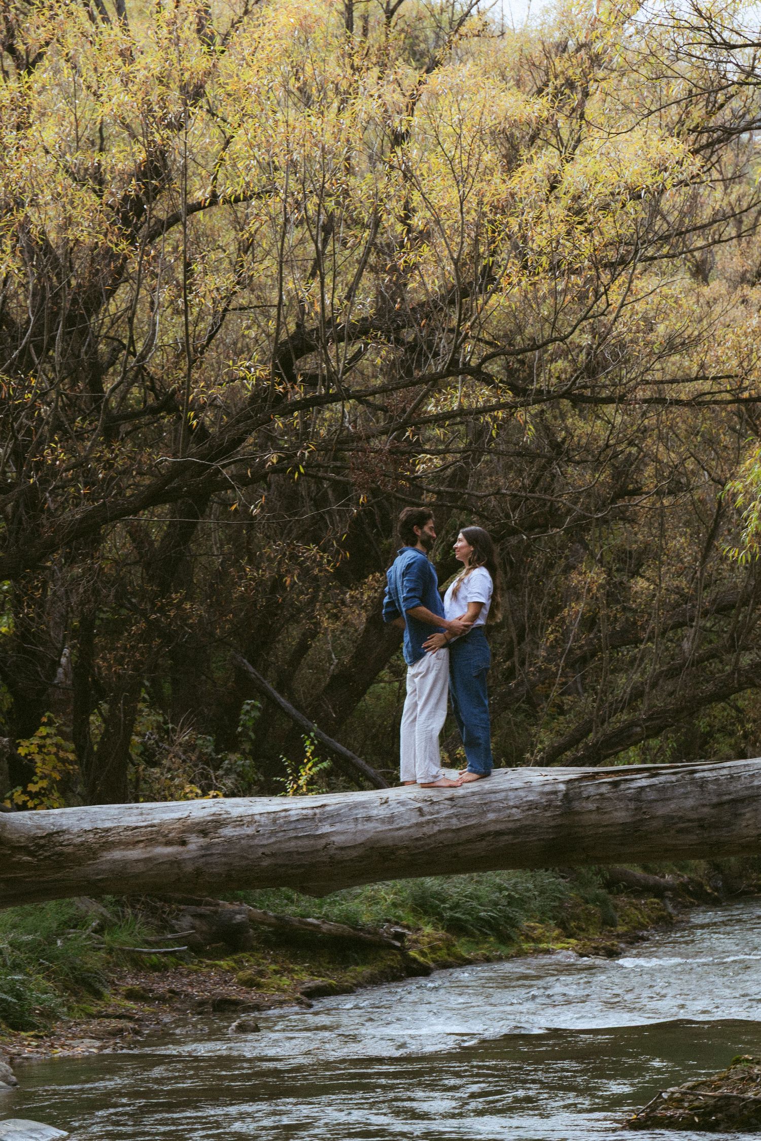 Couple standing on a fallen log over a river, embracing in an autumn forest with golden foliage.