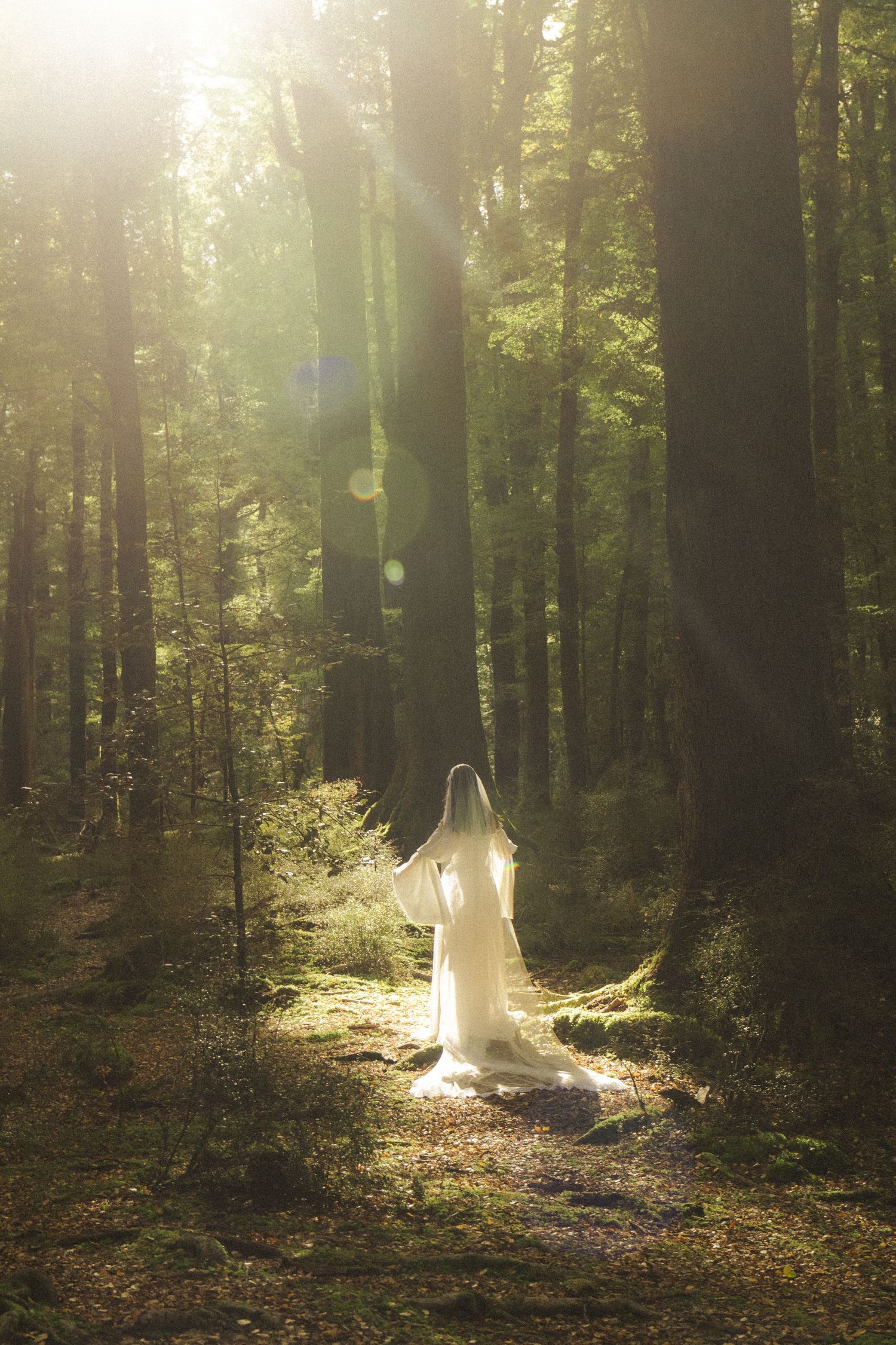 A ethereal figure in a white gown stands on a forest path bathed in golden sunlight streaming through tall trees.