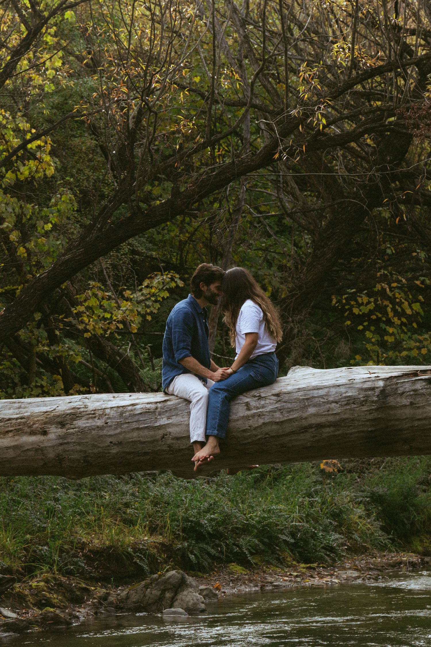 A couple sits closely on a fallen log by a stream, sharing a romantic moment surrounded by lush autumn forest trees.