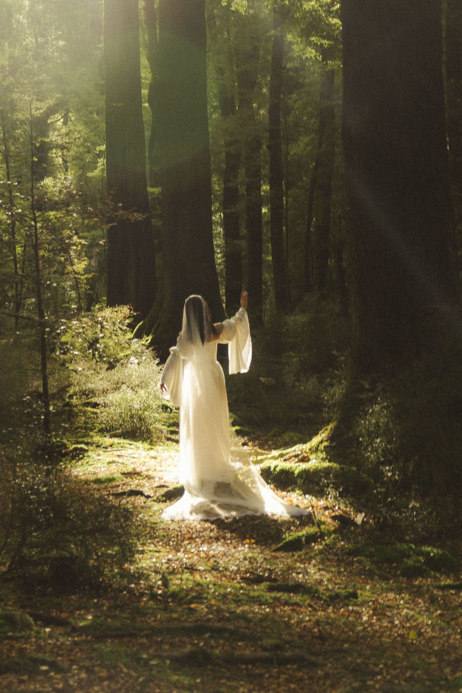 Bride in white gown with veil walks through sunlit enchanted forest path.