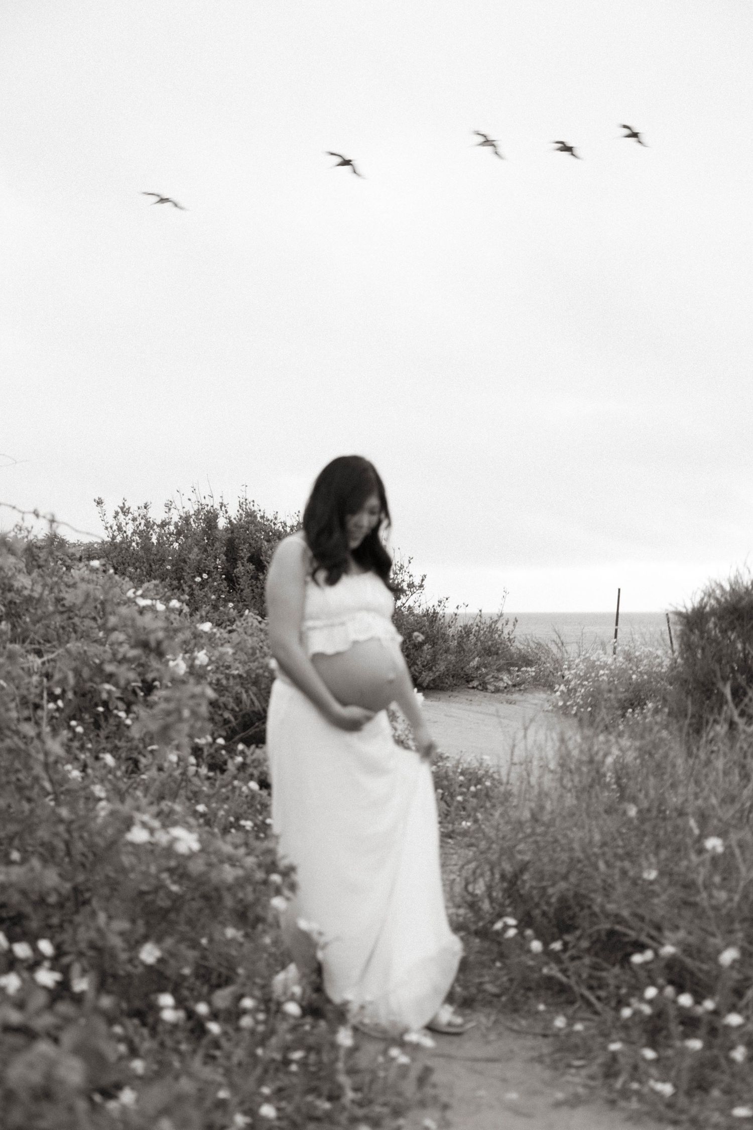 maternity photo with flowers and birds in the air.