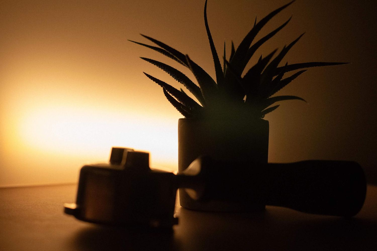Dramatic silhouette of a potted aloe plant and small objects against a warm amber glowing background.