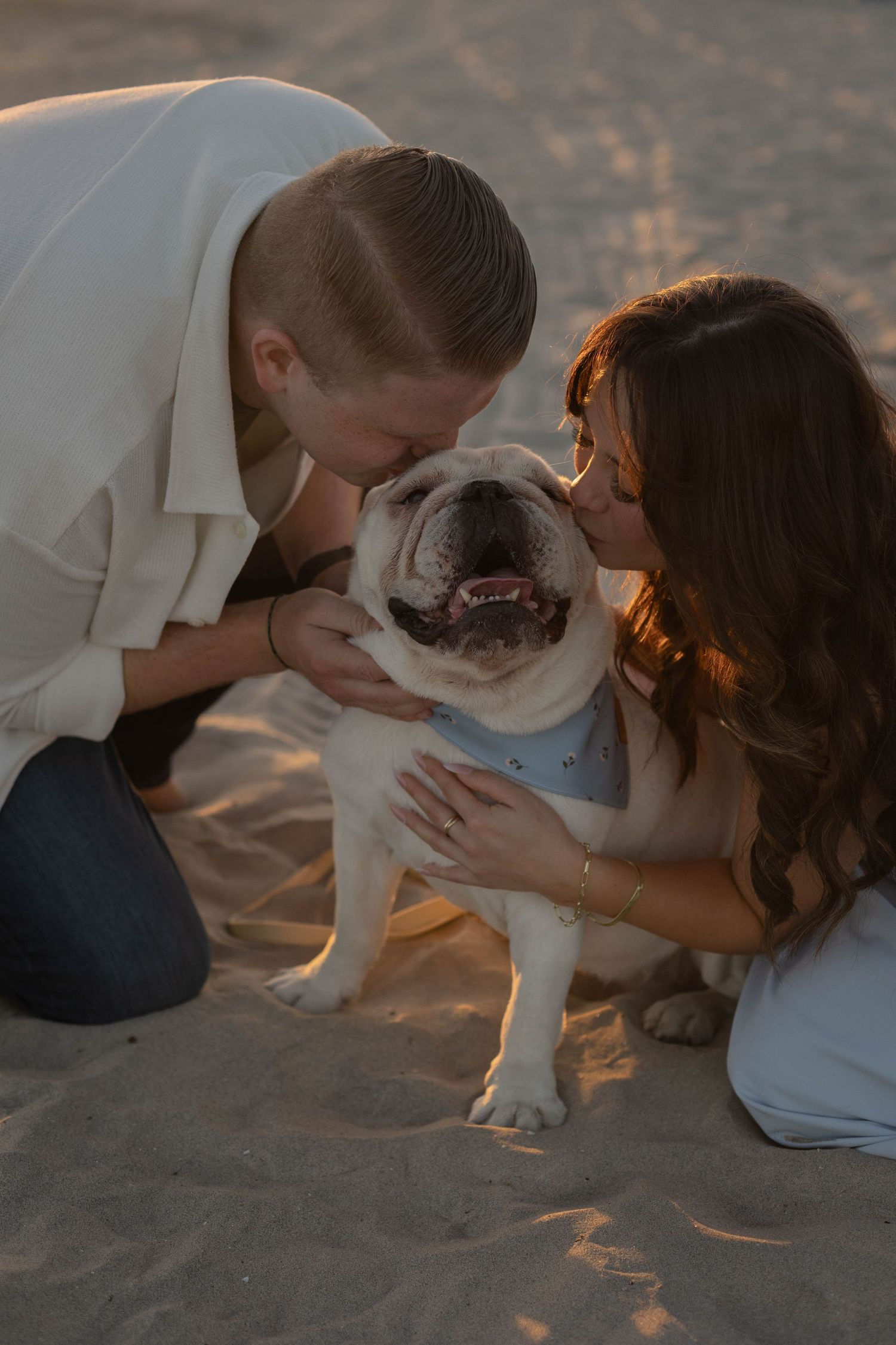 Couple kneeling on sandy beach kissing their white English Bulldog wearing a bandana at golden hour.