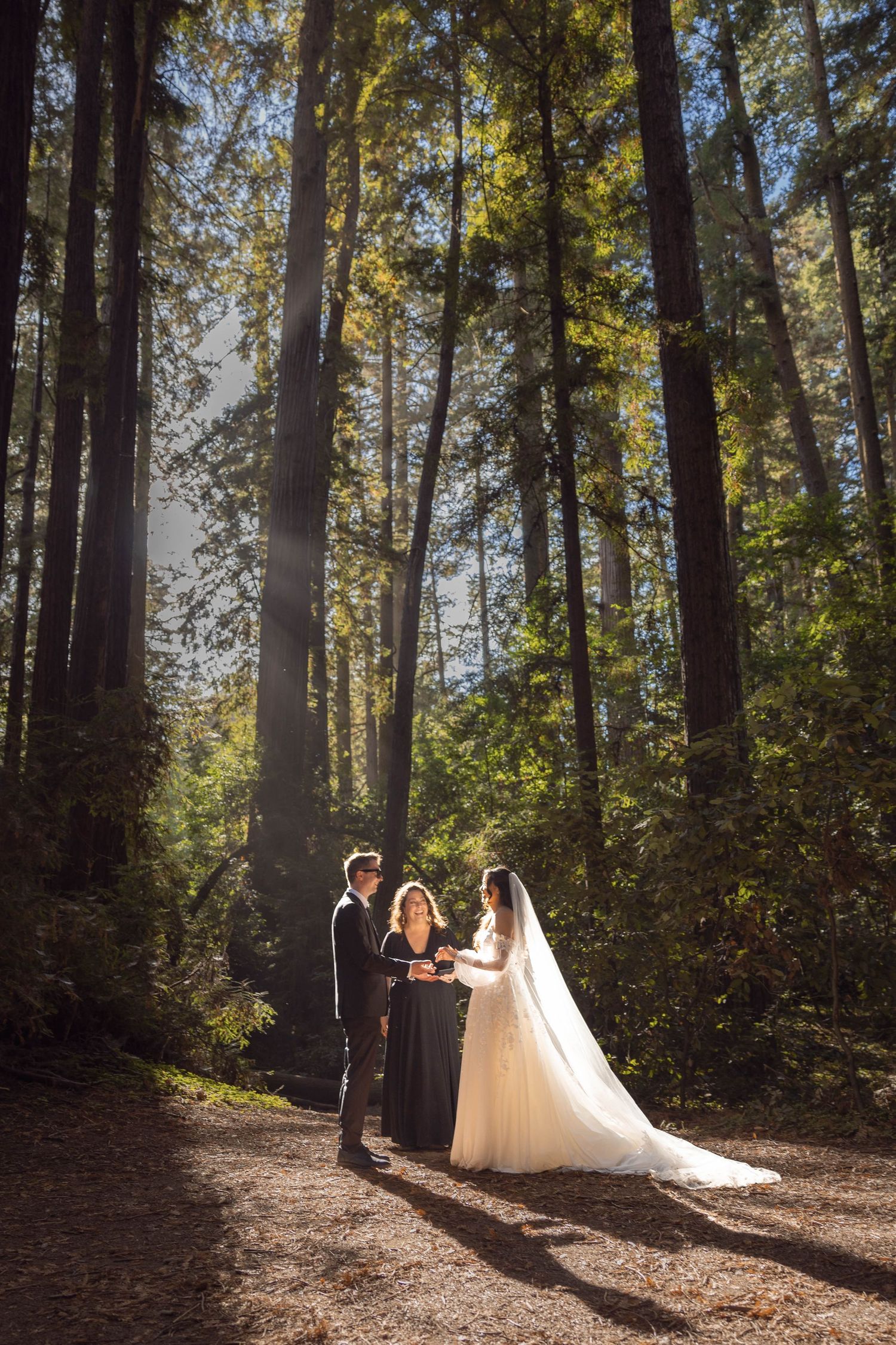 Bride and groom exchange vows with officiant beneath towering redwood trees.