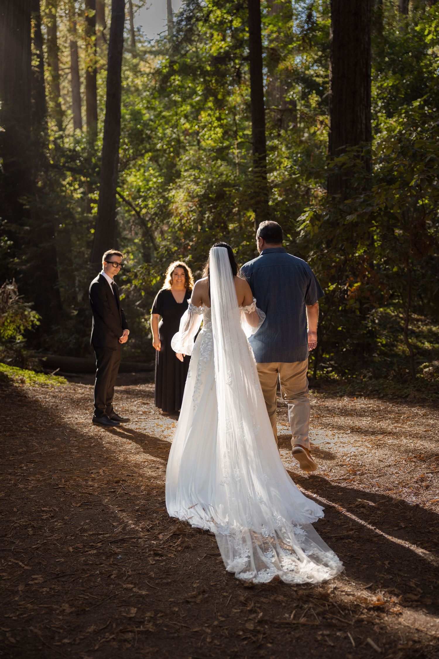 Bride in white gown and veil walks through sunlit redwood forest toward wedding party on a pine needle path. Elopement Photographer.