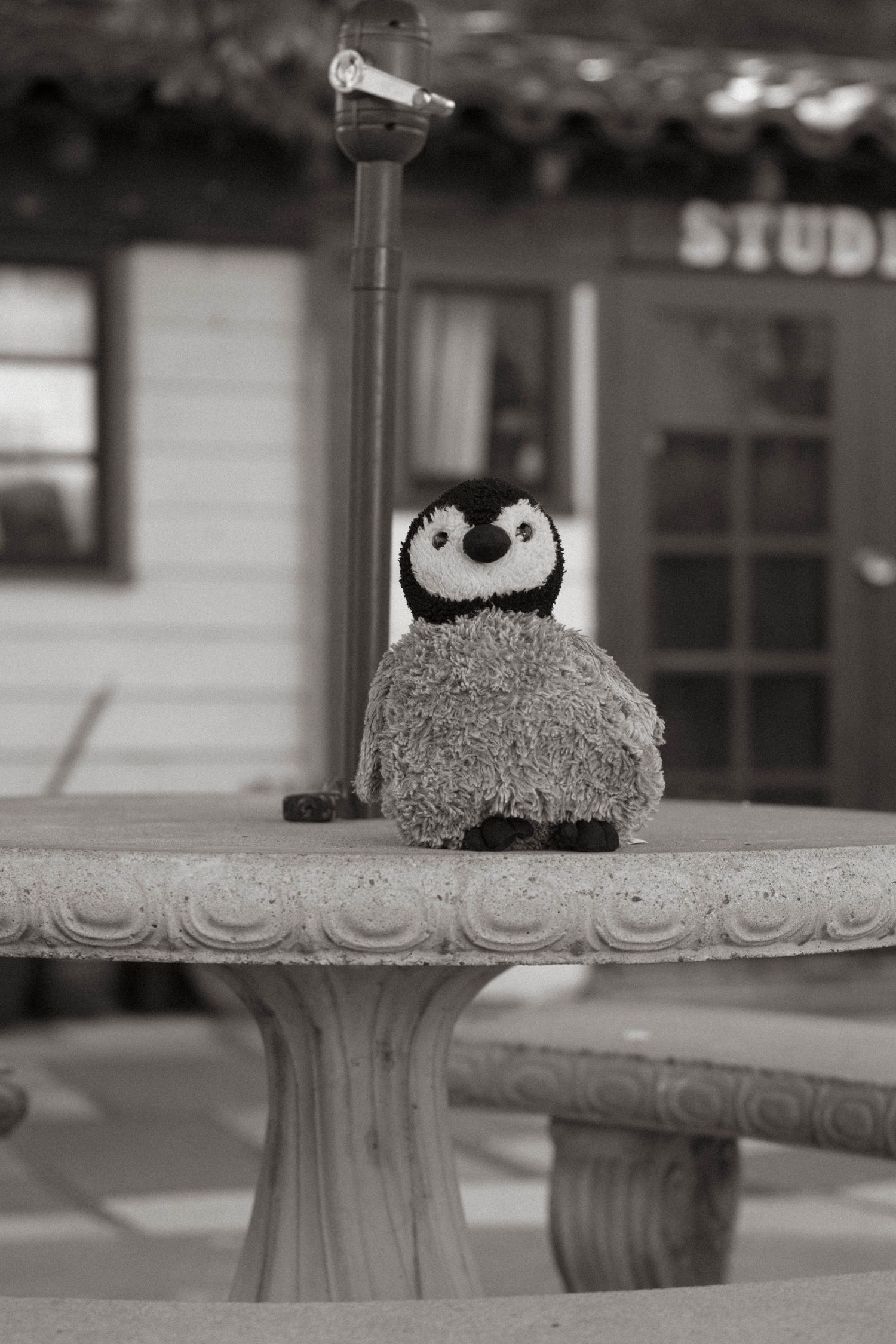Black and white photo of a penguin stuffed animal sitting on a stone table outdoors near a building. Balboa San Diego. Family Portraits.