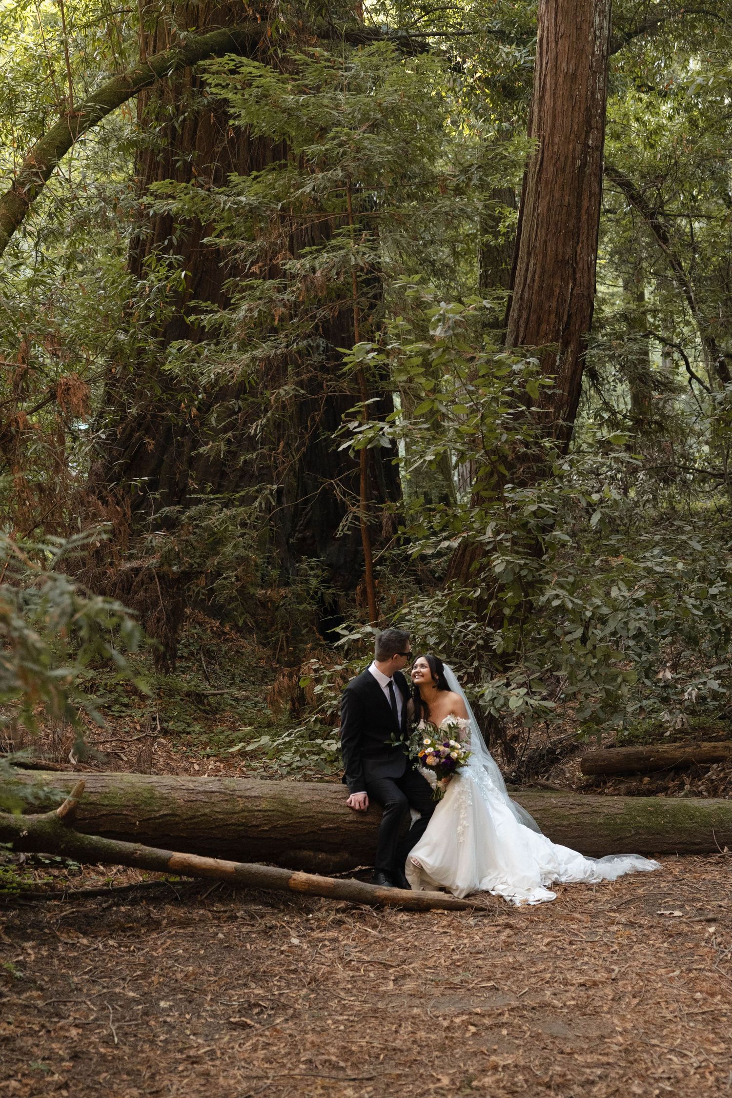 Bride and groom sit romantically on a fallen log in a towering redwood forest, bride's gown trailing on the ground.