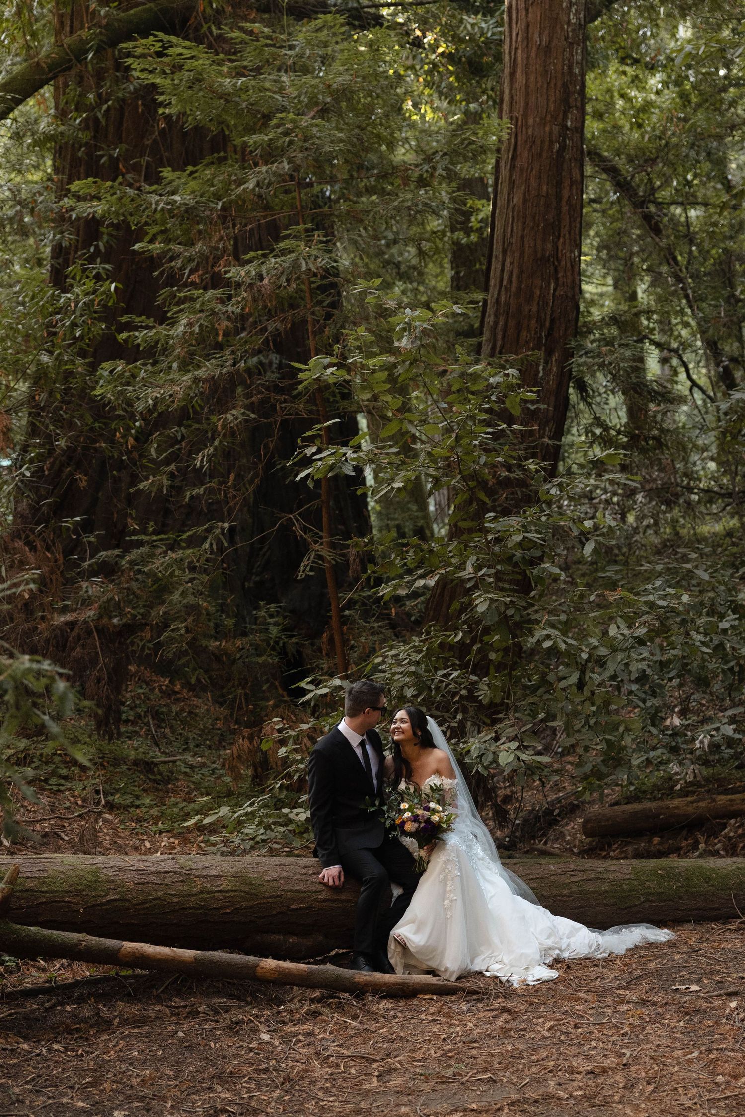 Bride and groom sit intimately on fallen log surrounded by towering redwood trees in enchanting forest wedding portrait. Wedding photography