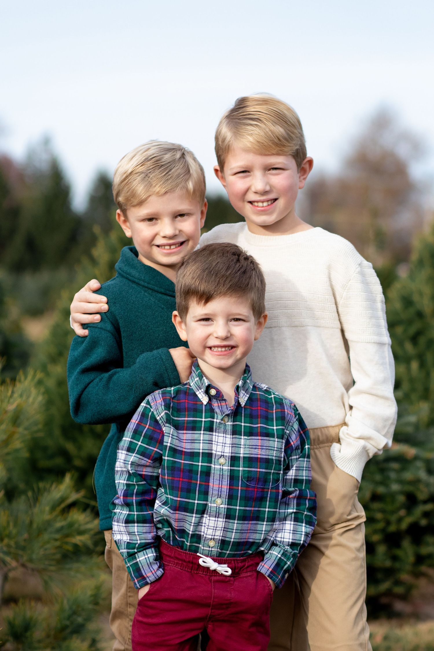 Three siblings pose together for a holiday portrait among evergreen trees at a Christmas tree farm.