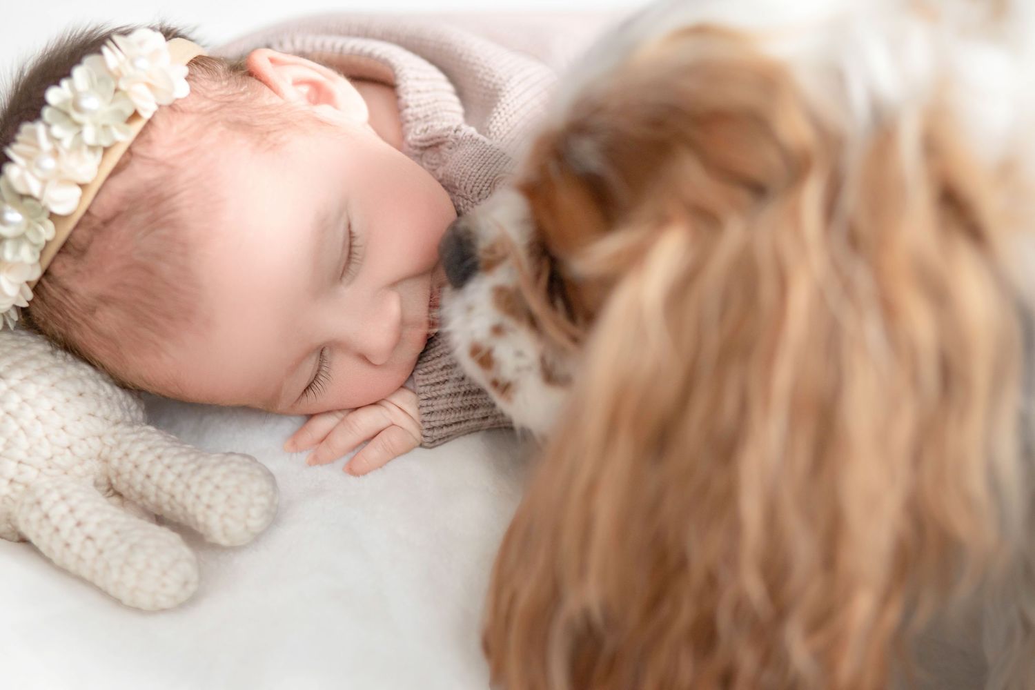 A sleeping baby in a white knit sweater lying beside a partial view of a cavalier king charles spaniel dog.