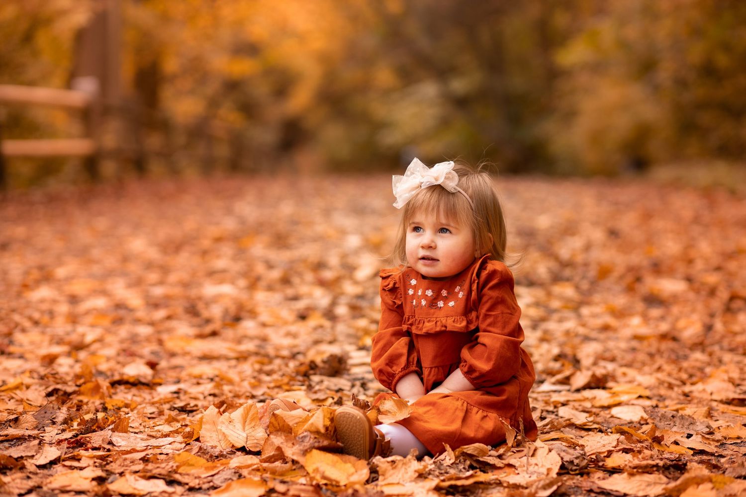 A child in burgundy sweater plays in a colorful autumn setting surrounded by fallen orange leaves on the ground.