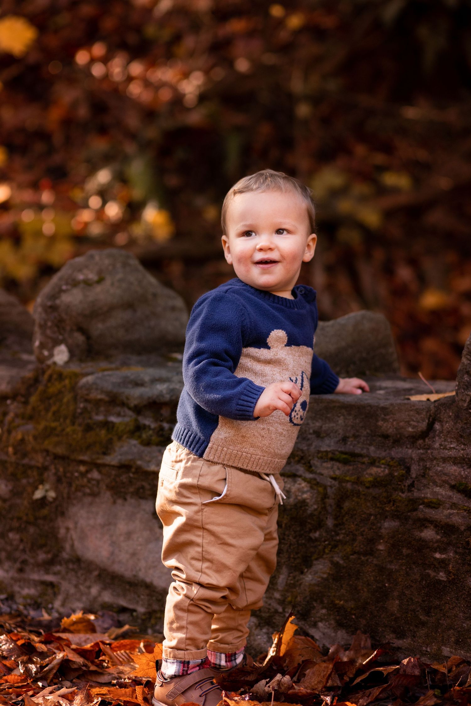 A small child in a navy sweater and khaki pants stands smiling among autumn leaves and rocks in an outdoor setting.