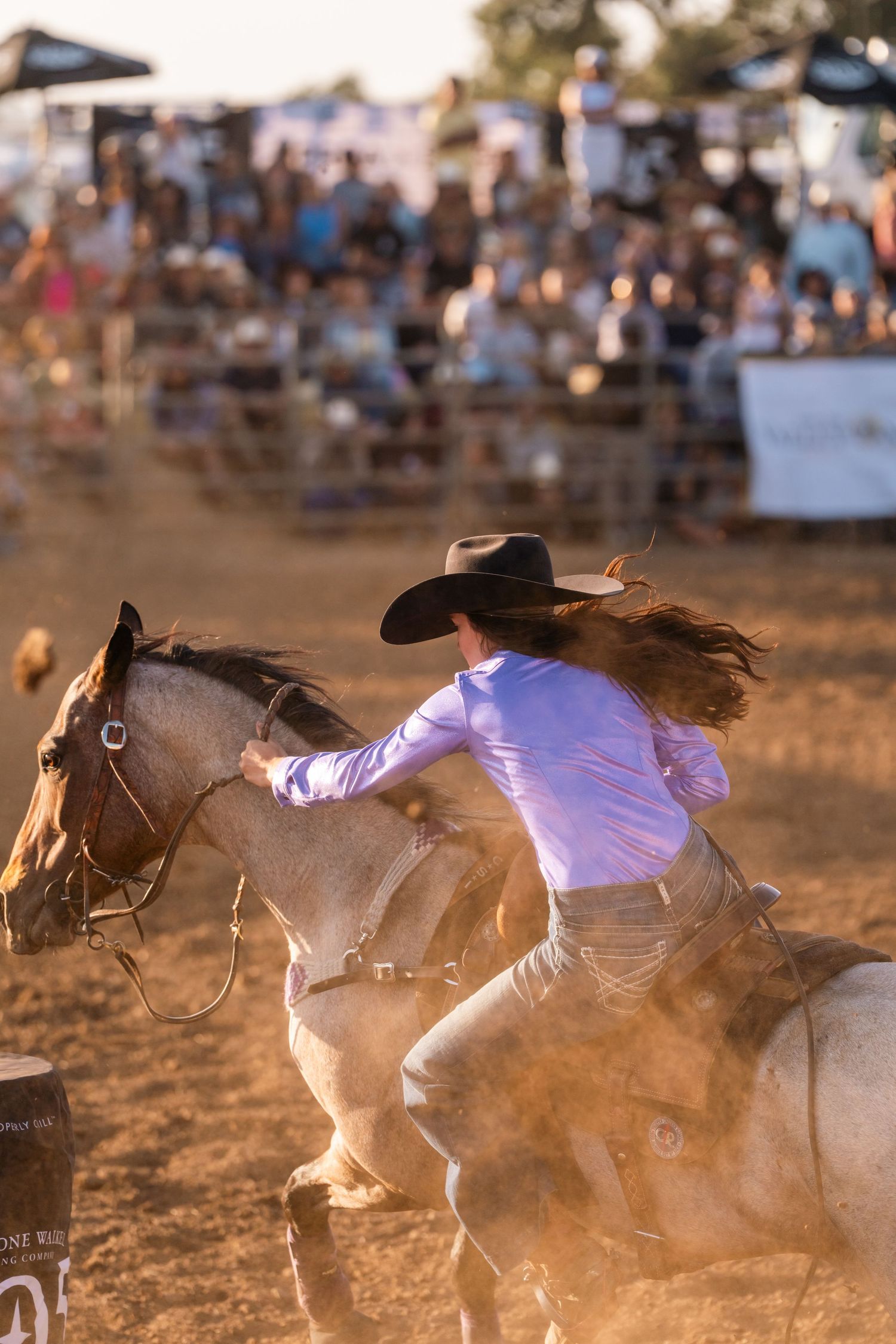 Action shot of cowboys racing horses at a rodeo with dust flying in golden sunlight.