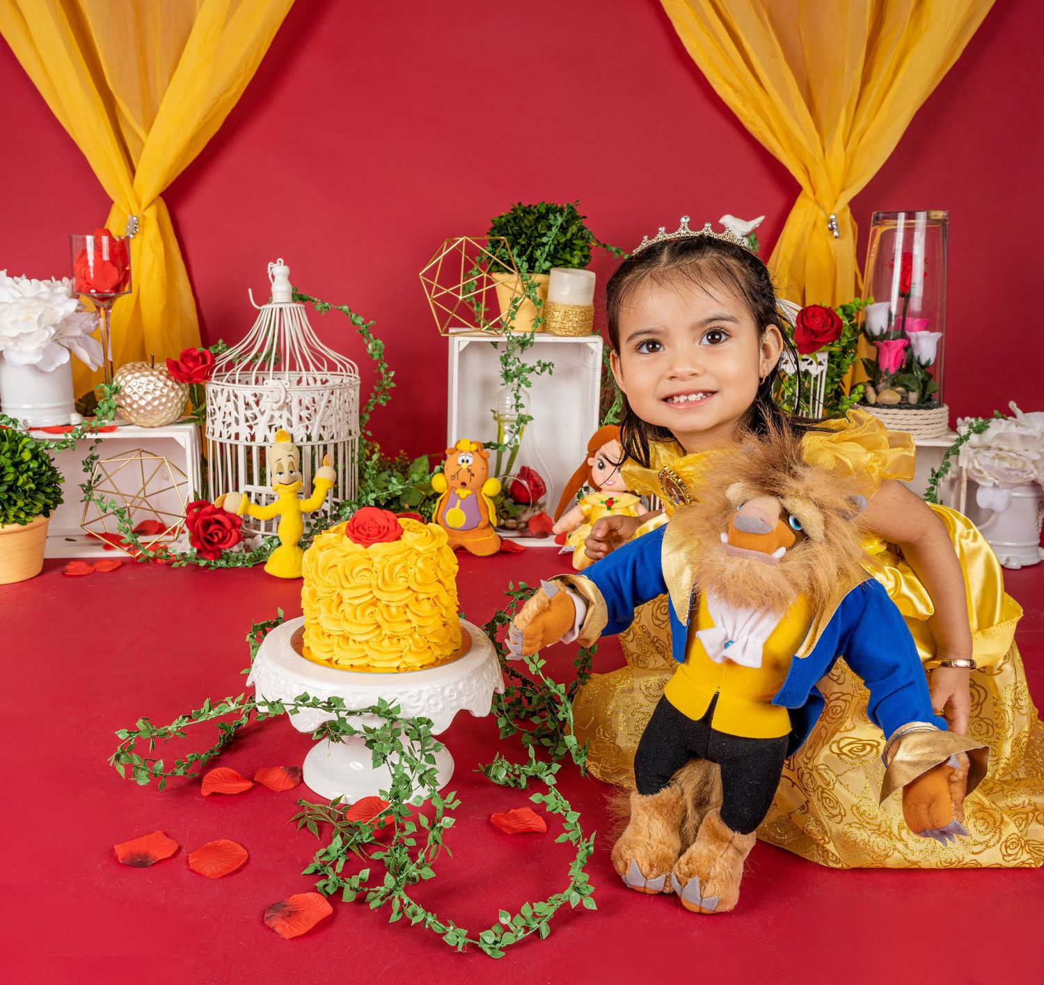 fond smash cake  avec gateau la belle et la bete photo smash cake decor fete un an