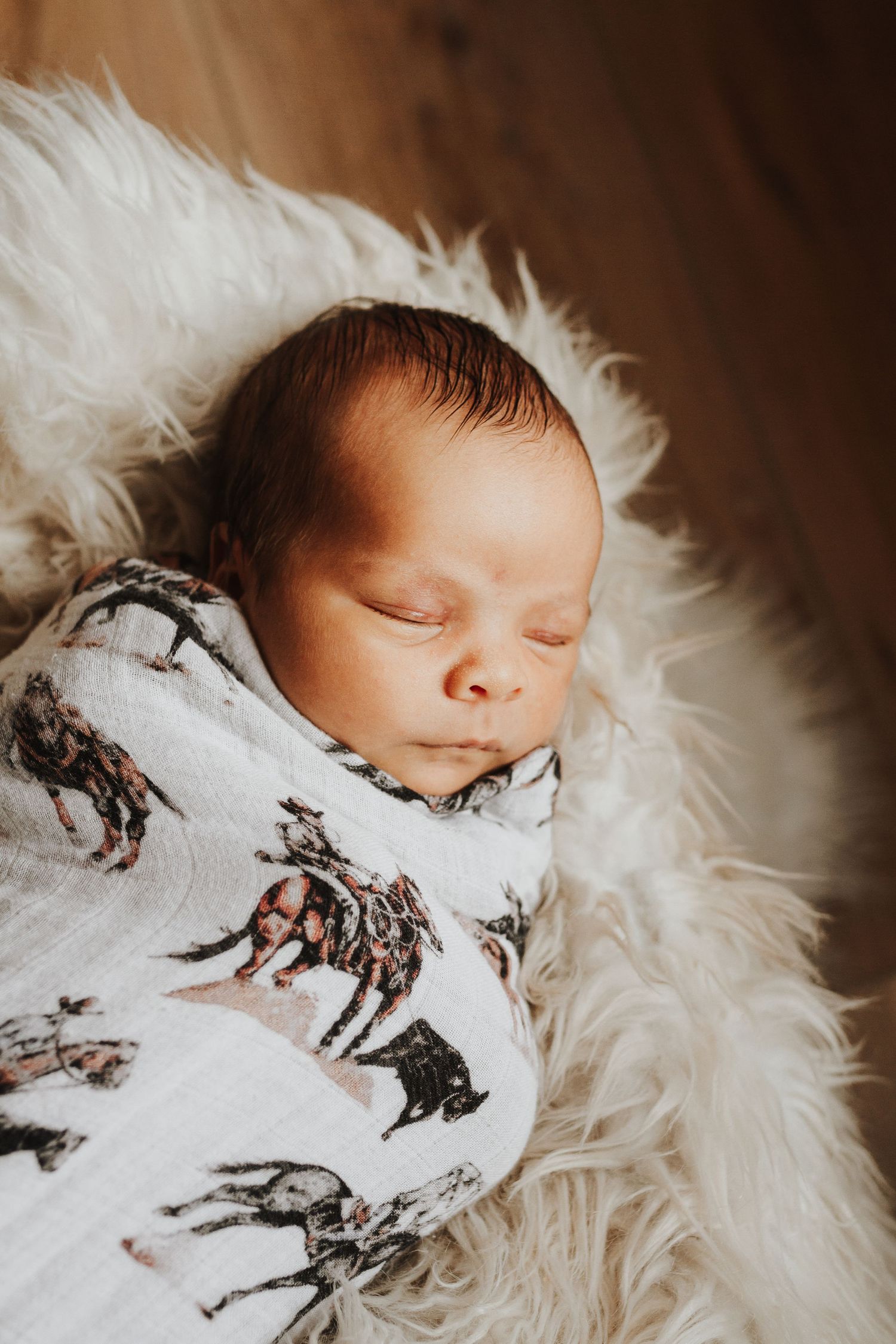 Sleeping newborn wrapped in animal print blanket lying on fluffy white fur.