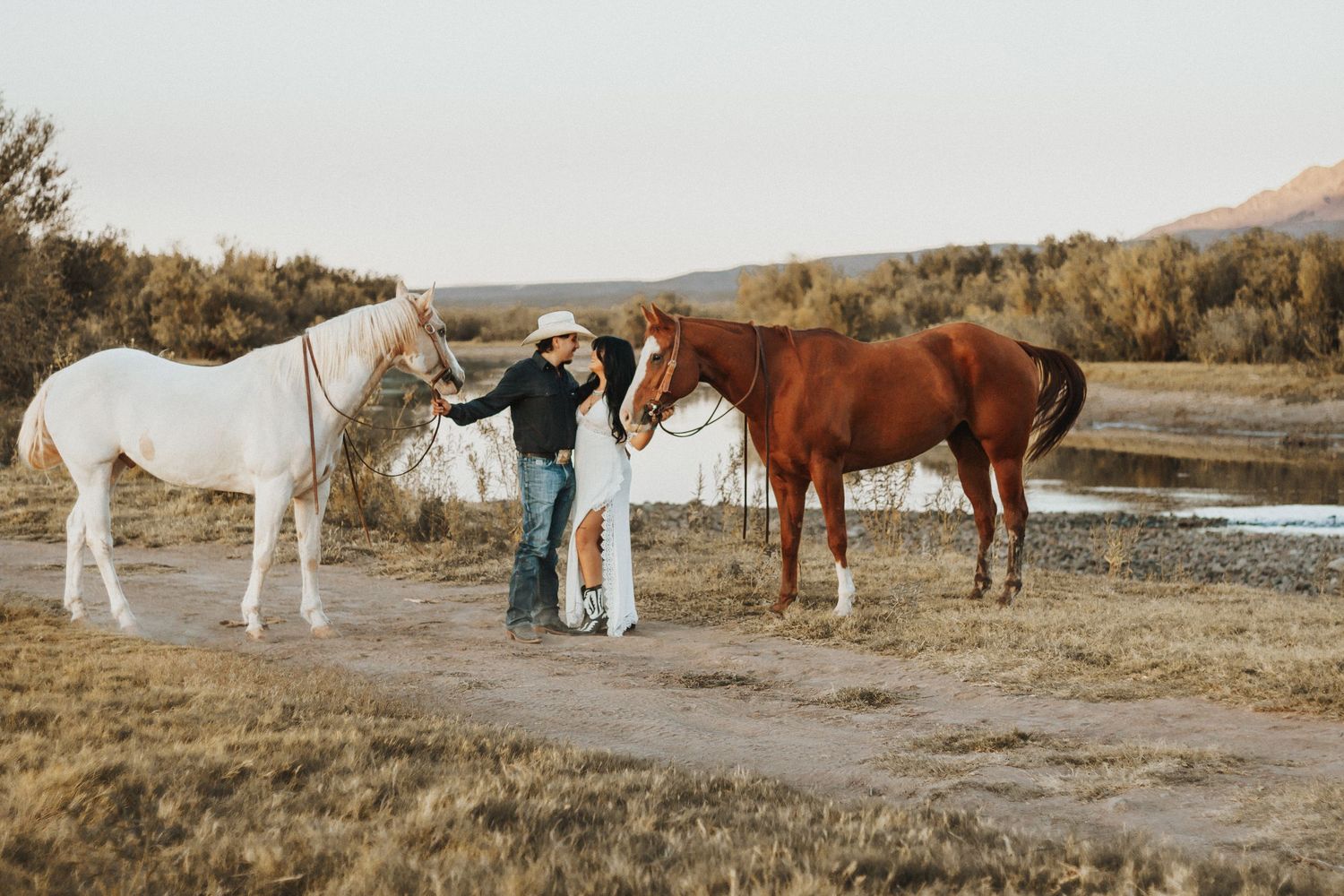 A series of horses grazing in a mountain landscape at sunset.