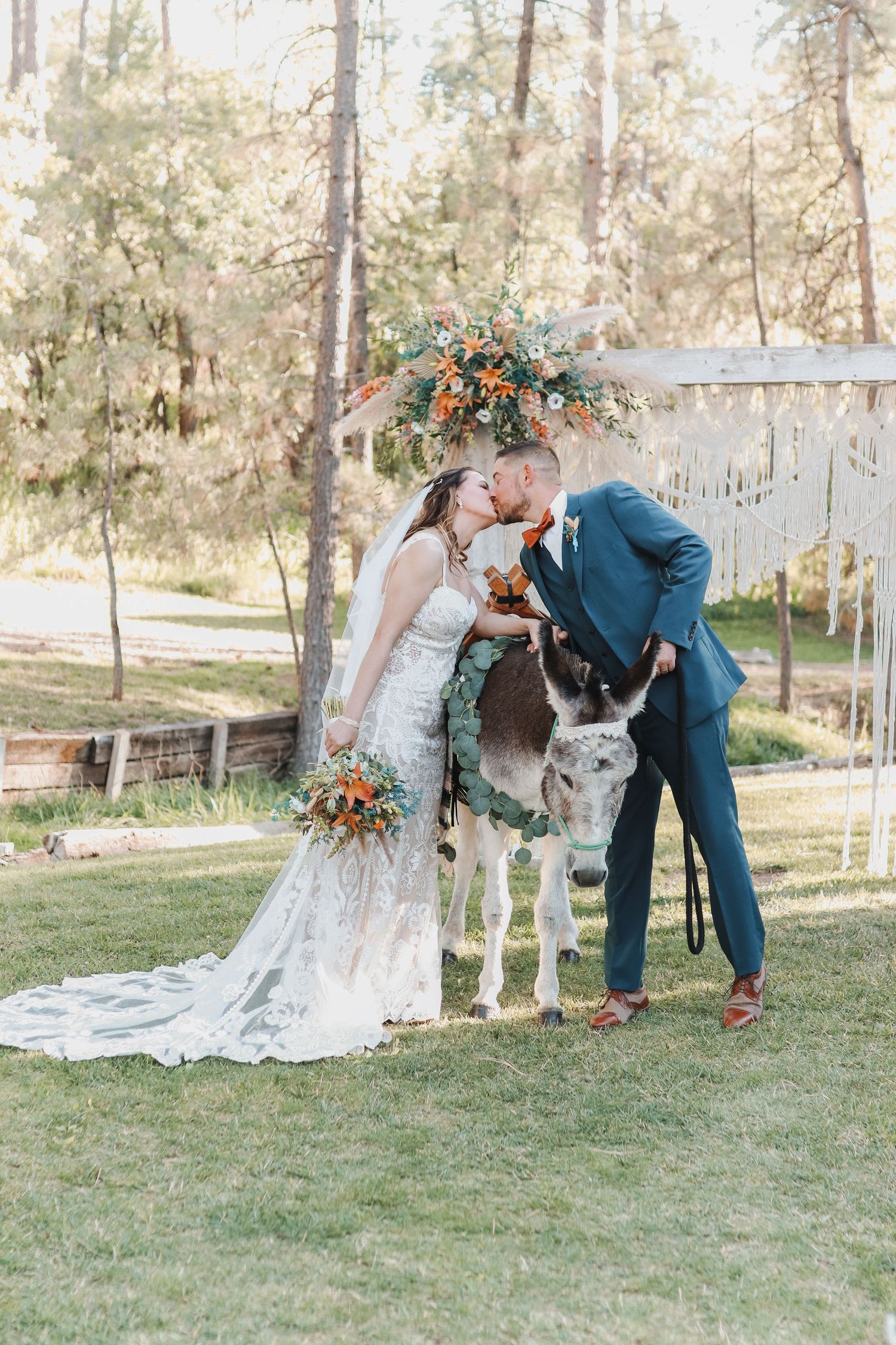 Wedding ceremony photos with horses in a rustic outdoor woodland setting.