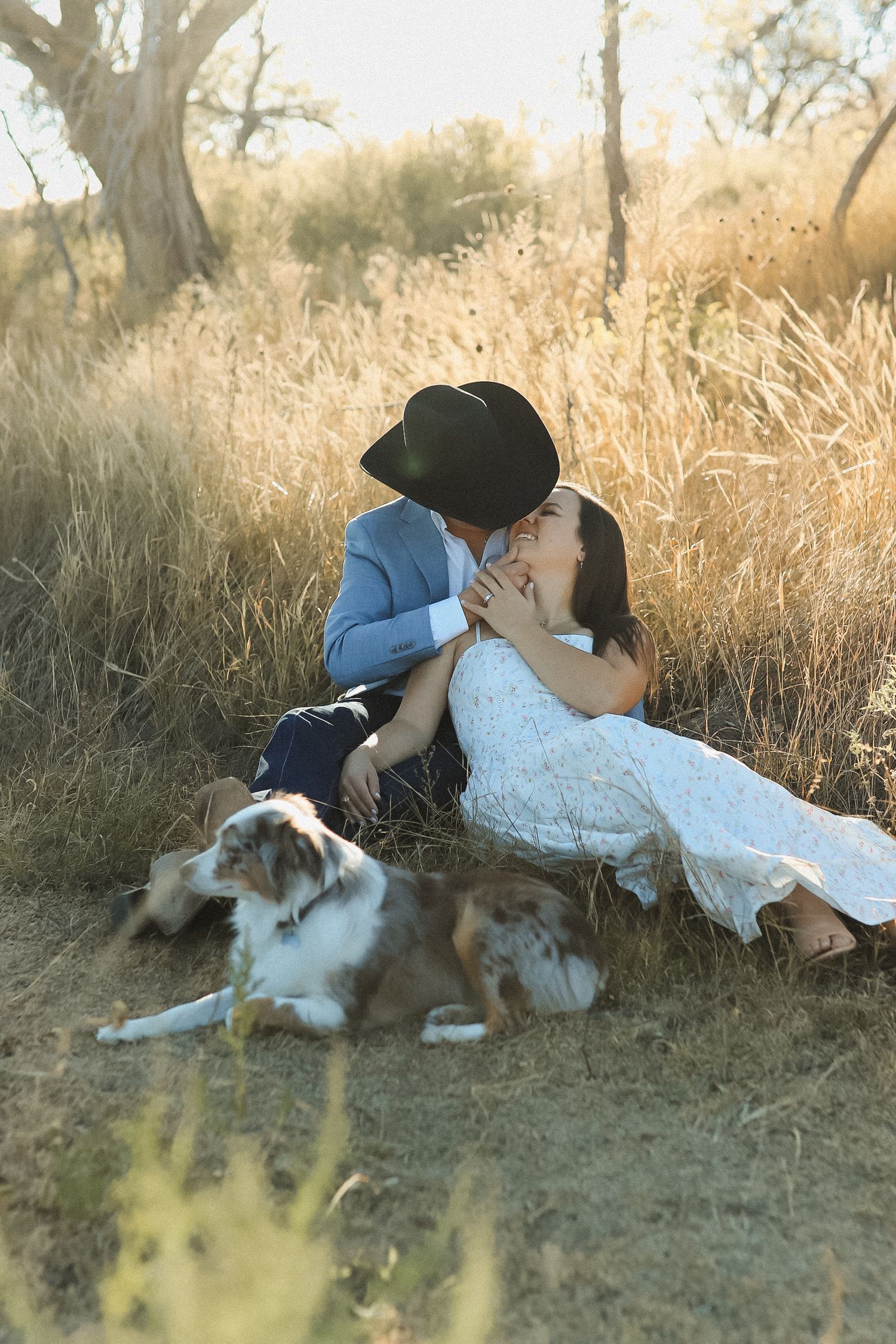 A couple in wedding attire kisses while sitting in golden grass fields with their Australian Shepherd dog nearby.