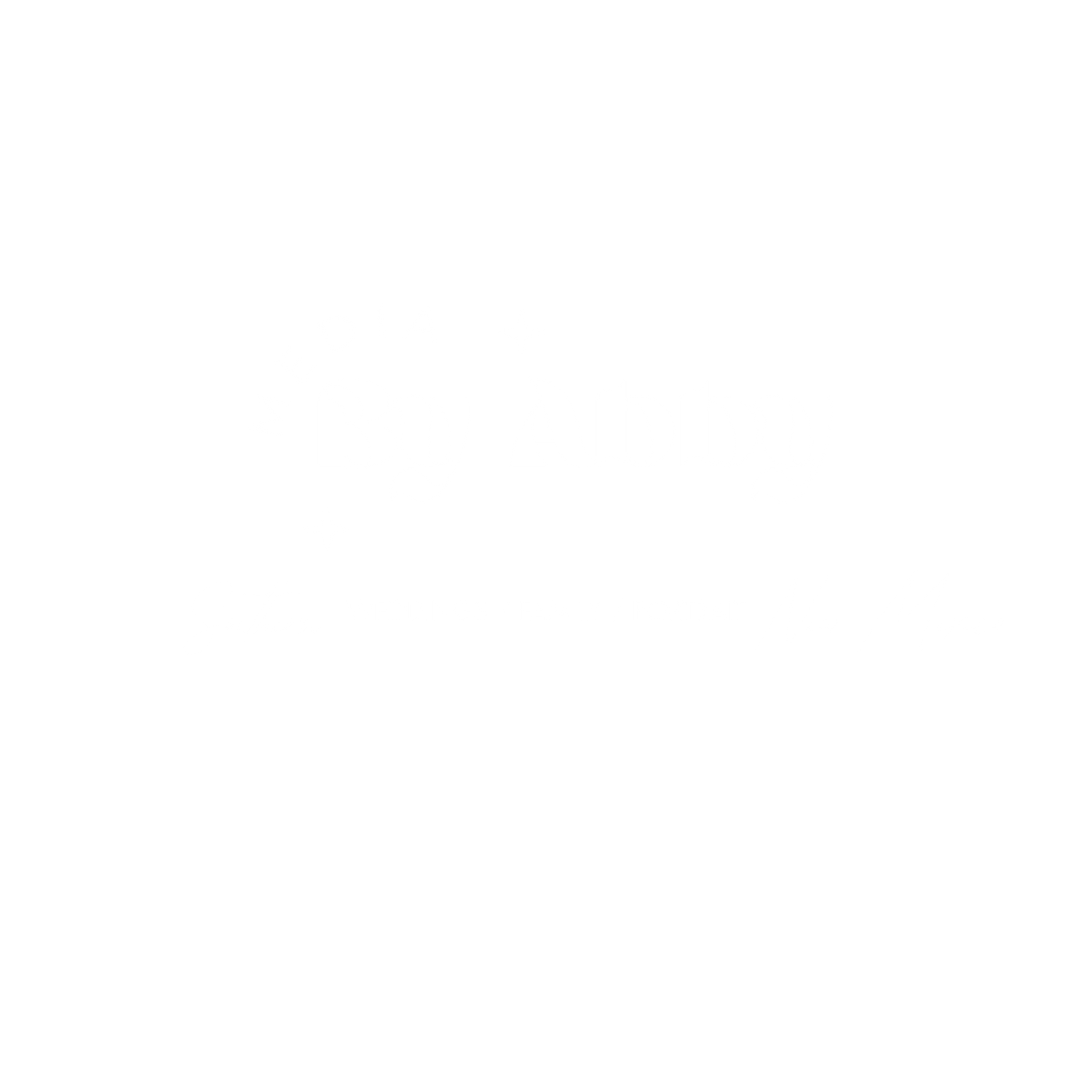 White background with no content or imagery visible.