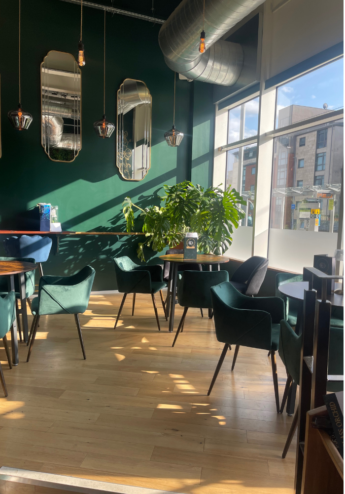 Stylish cafe interior with green walls, hanging mirrors, and modern black chairs bathed in sunlight.