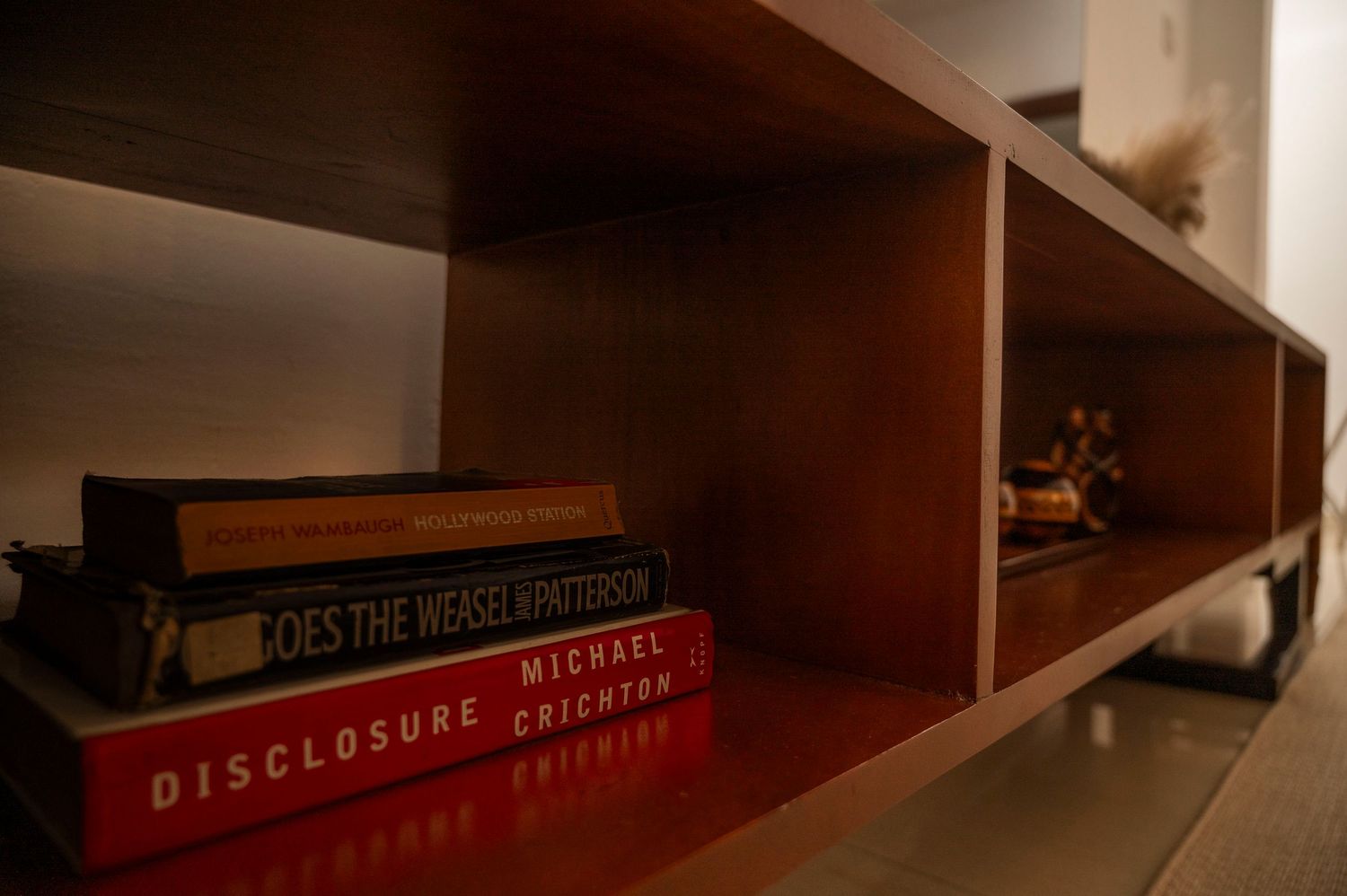 Row of book spines on a wooden shelf showing titles in red text.