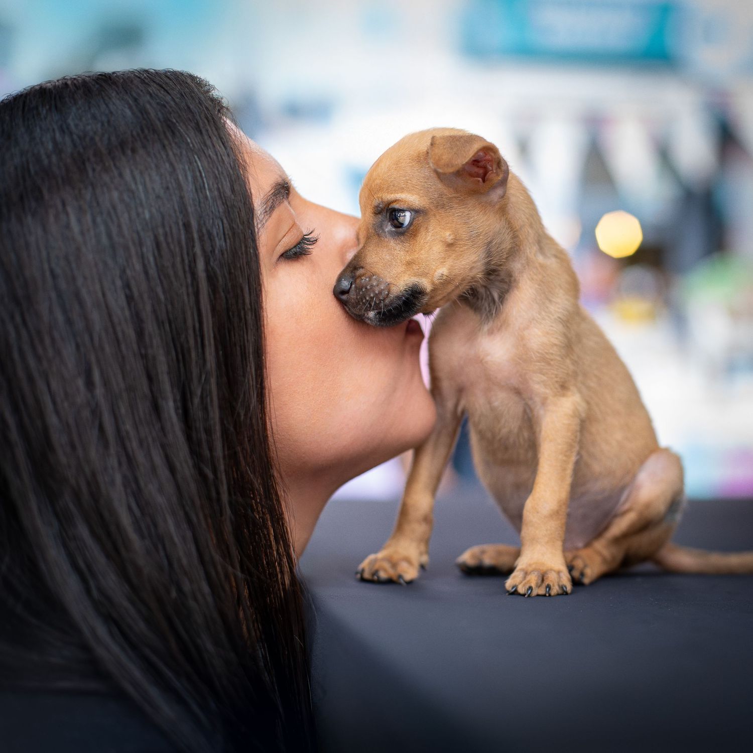 Vinculo Animal, Perrito rescato y su rescataste