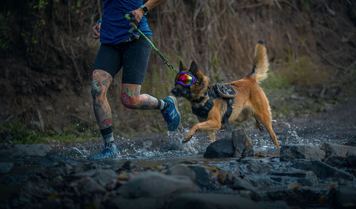 Amazing Picture of a Belgian Shepherd running with her Human.

Increible fotografía de un Pastor Belga corriendo con su Humana.