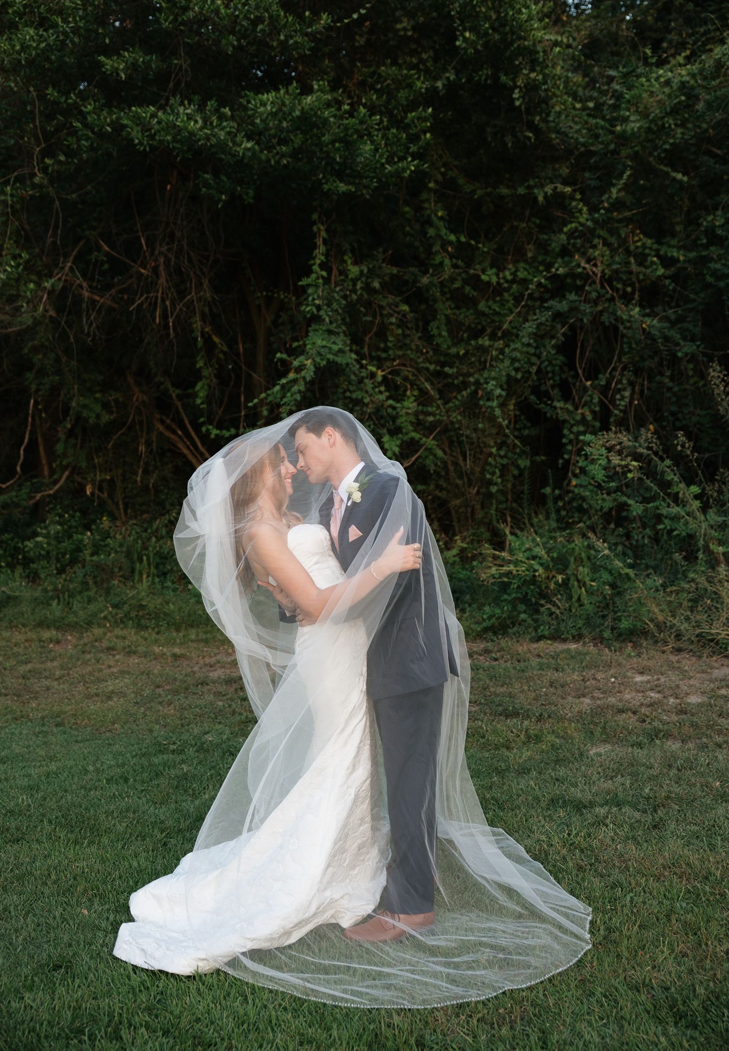 Bride and groom kissing under a flowing white veil on green grass with lush trees in the background.