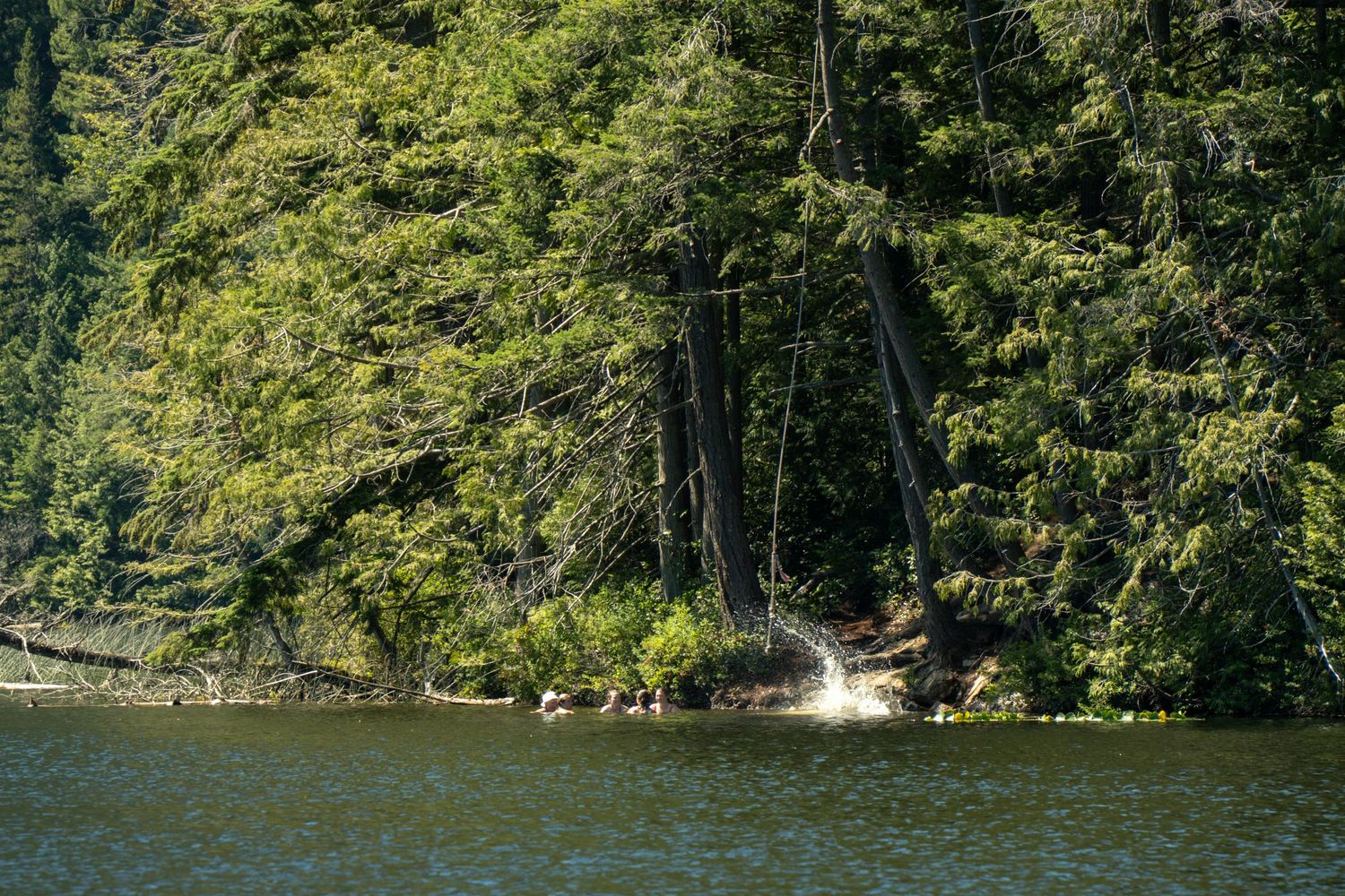 Serene lake view with dense evergreen forest along the shoreline.