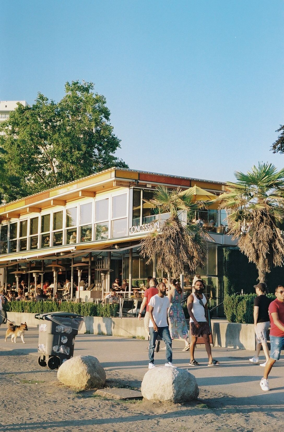 Modern restaurant building with palm trees and outdoor seating area on a sunny day.