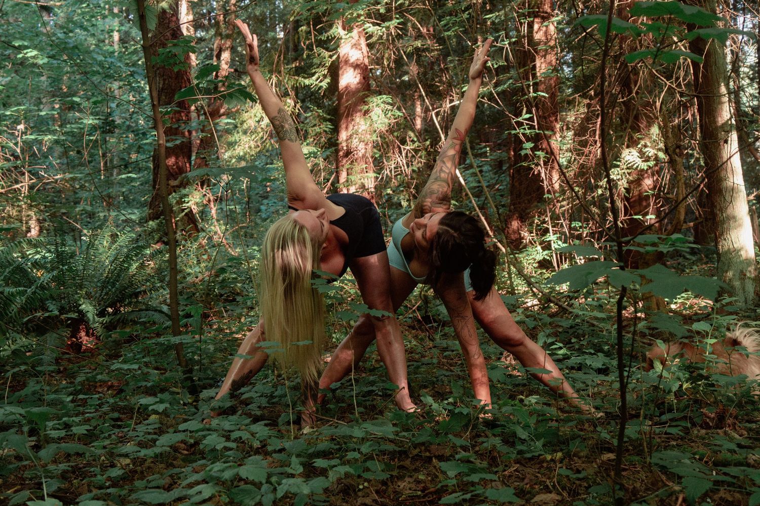 Dancers striking synchronized poses in a wooded forest clearing with filtered sunlight.