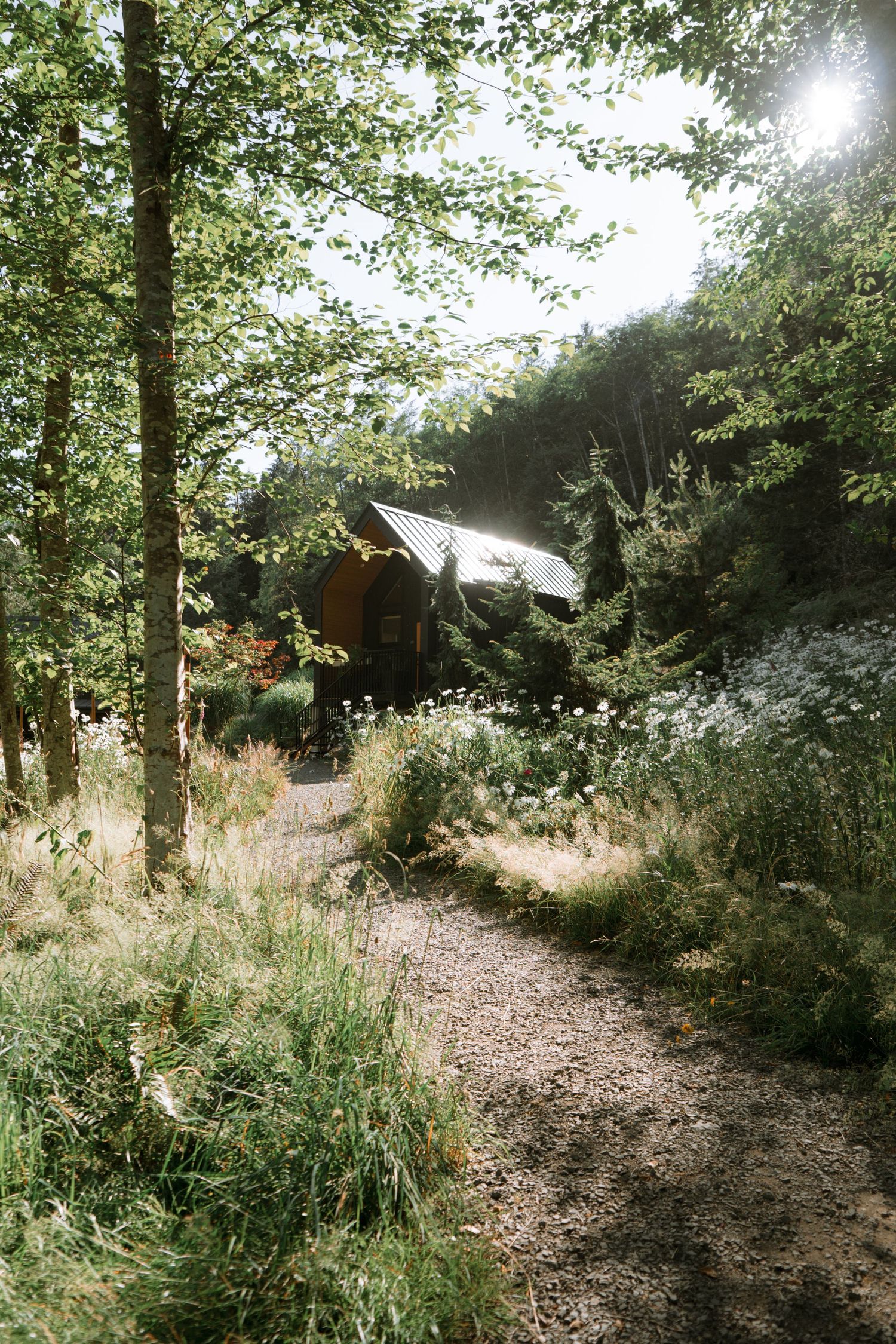 Rustic cabin nestled among trees along a winding forest path on a sunny day.