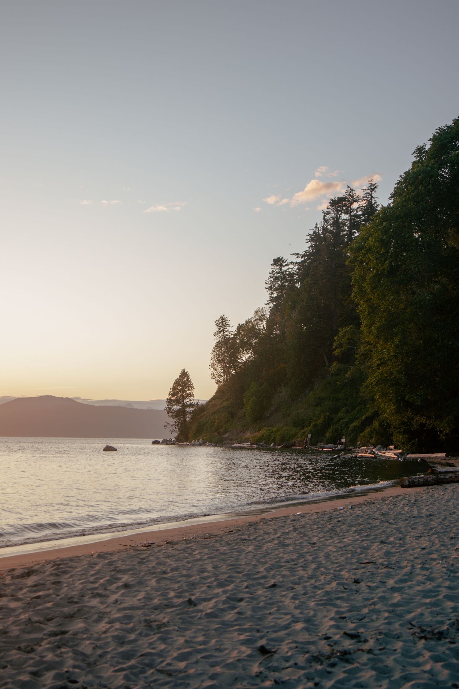 Serene sunset beach landscape with tall trees and mountains in the distance.