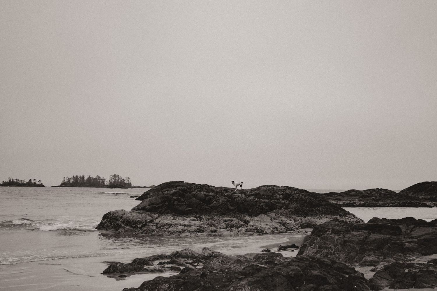 Dramatic coastal landscape with rocky outcrops and misty ocean views.