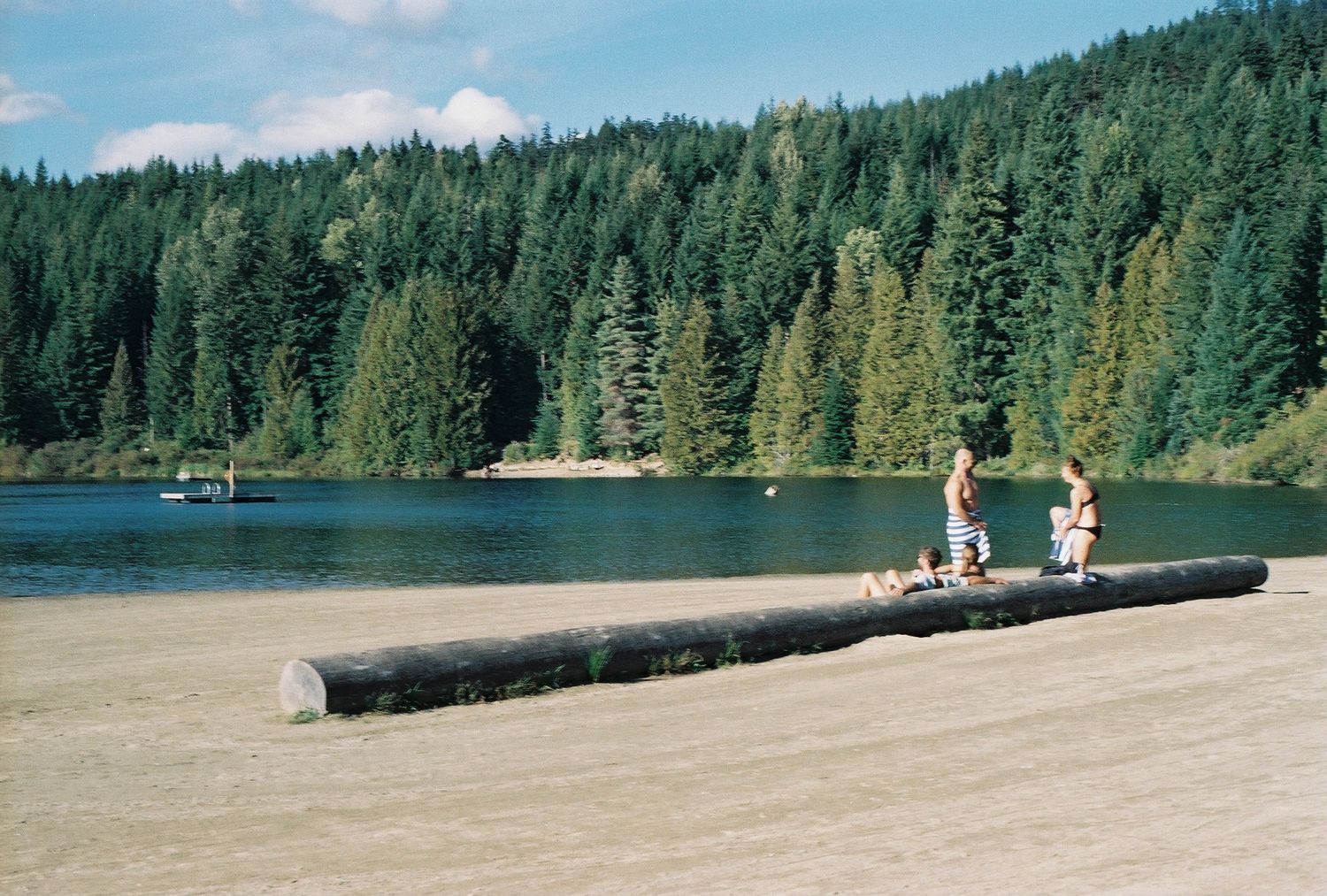 Log bench on beach shore with pine forest and lake view.