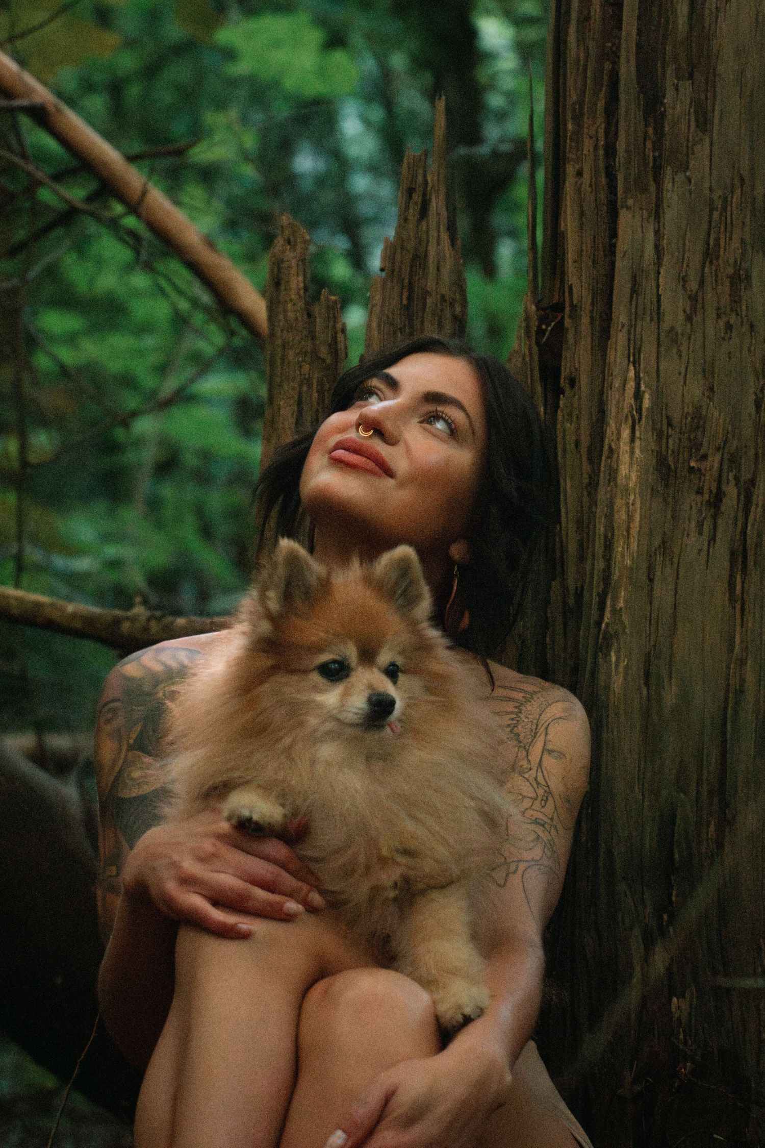 A Pomeranian puppy is held lovingly against a forest backdrop.