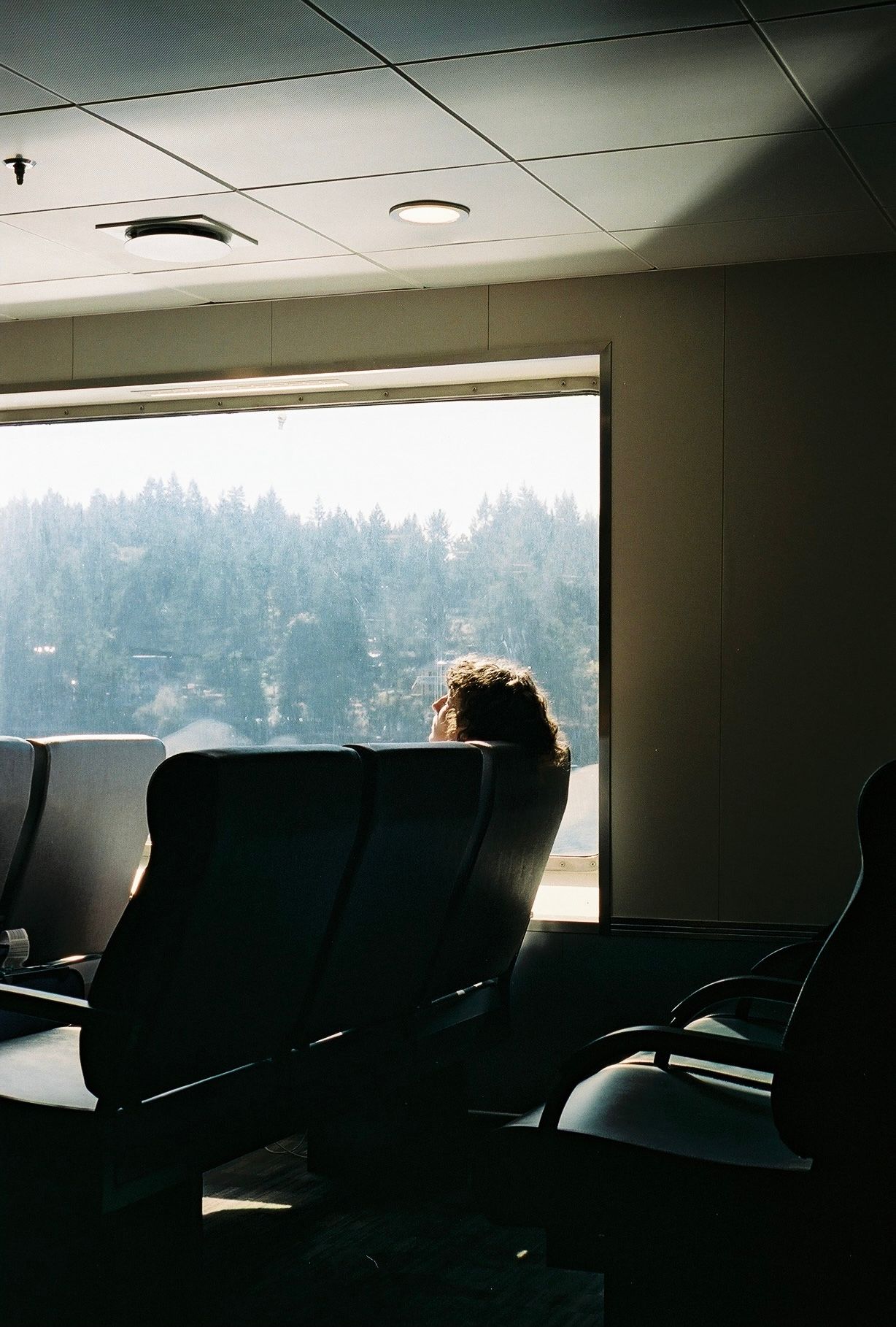 Silhouette of passenger looking out large window on ferry with forest view in background.