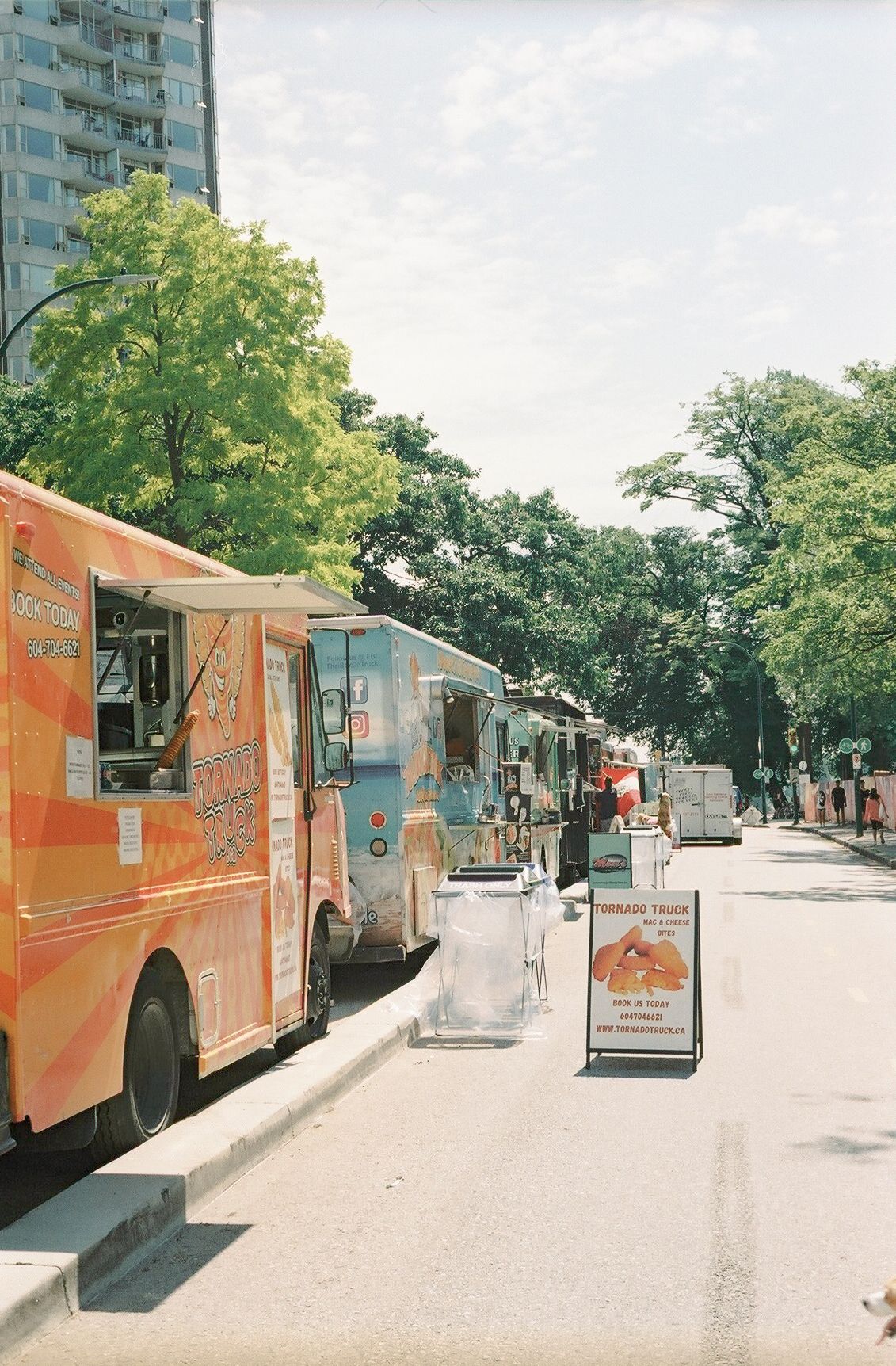 Row of colorful food trucks parked along city street with trees.