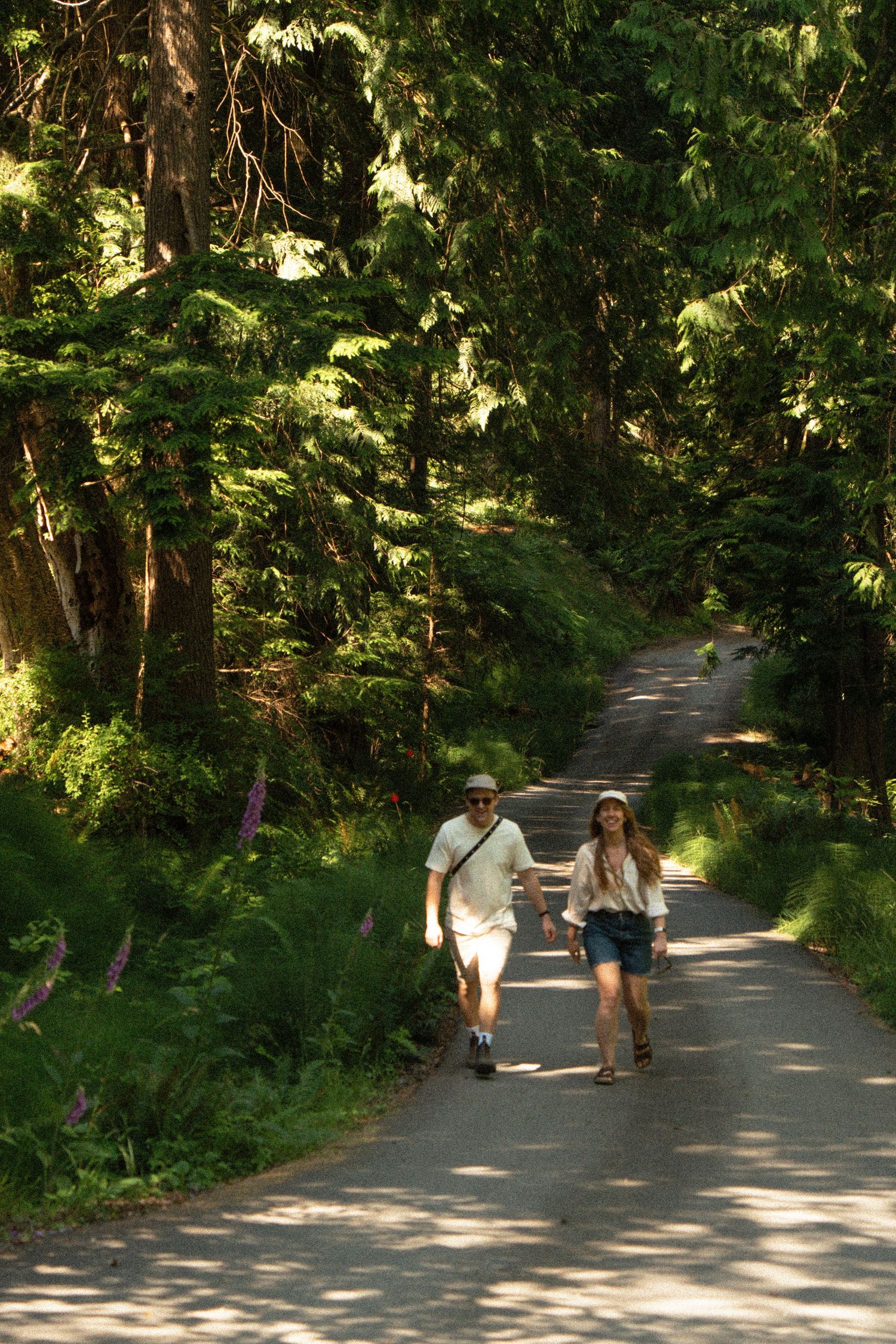 Sun-dappled forest path with walking figures in summer.